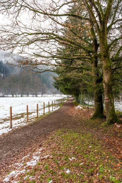Villach Warmbad Warmbader Straße Wanderweg 22112018 5453