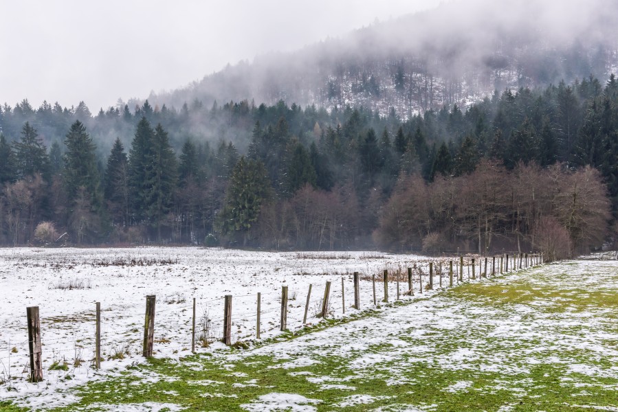 Villach Warmbad Warmbader Straße Zaun in Wiese 22112018 5450