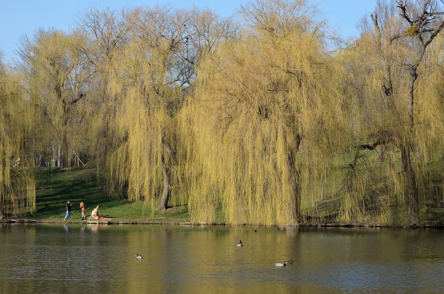 Volkspark Favoriten 03