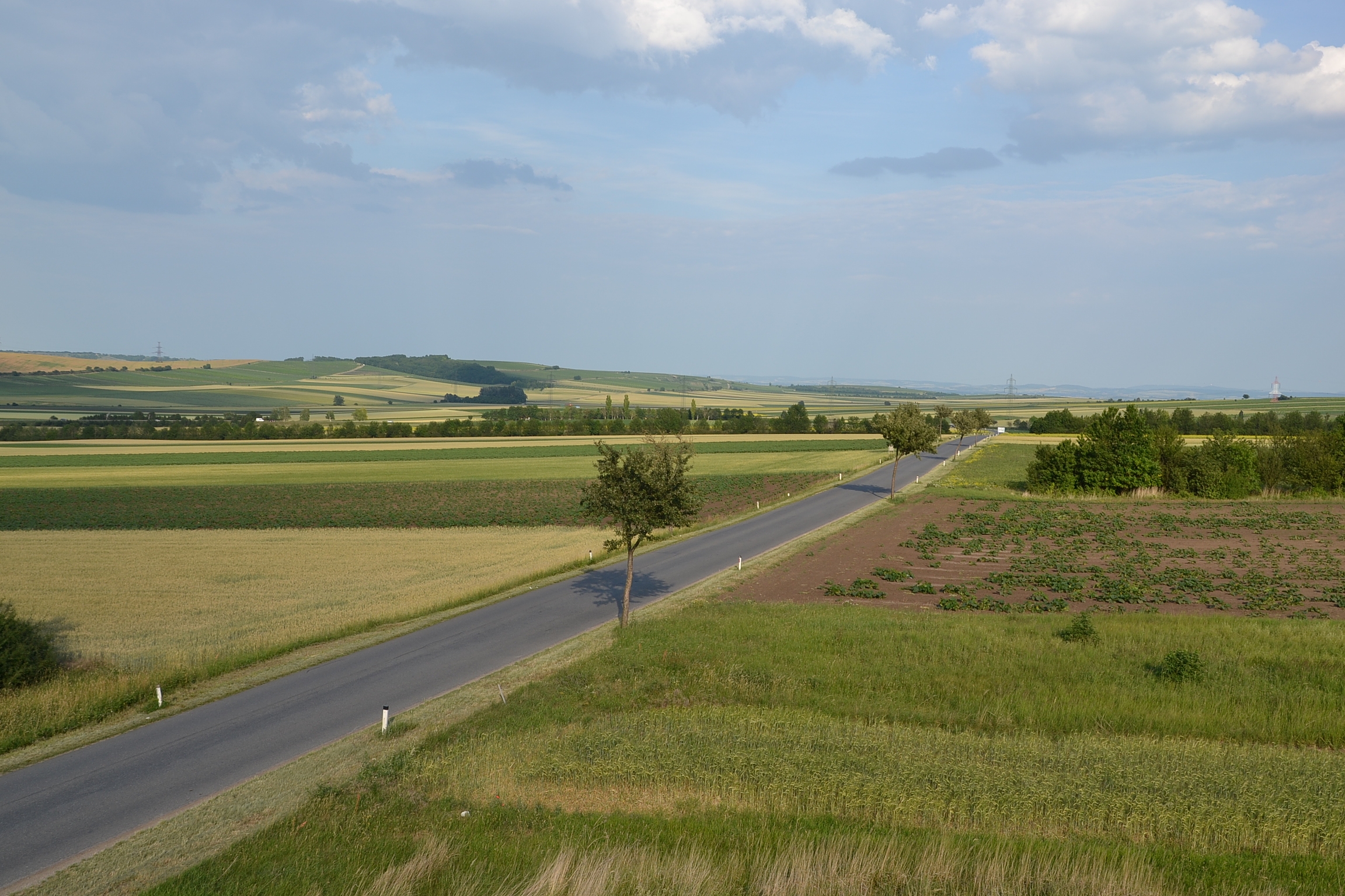 Südmähren Warte - view from tower 3