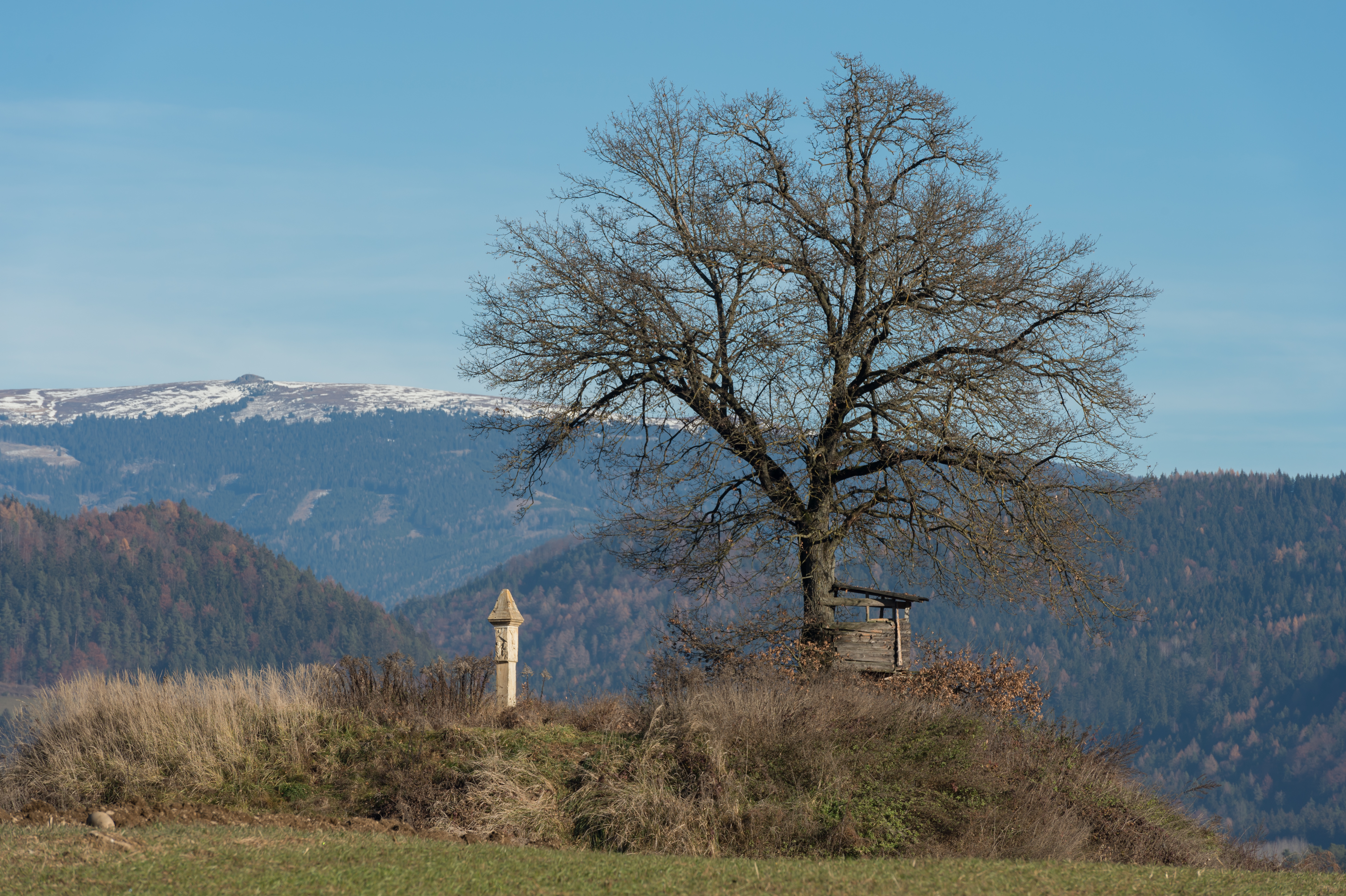 Sankt Georgen am Laengsee Launsdorf Maultaschhuegel 02122015 2421