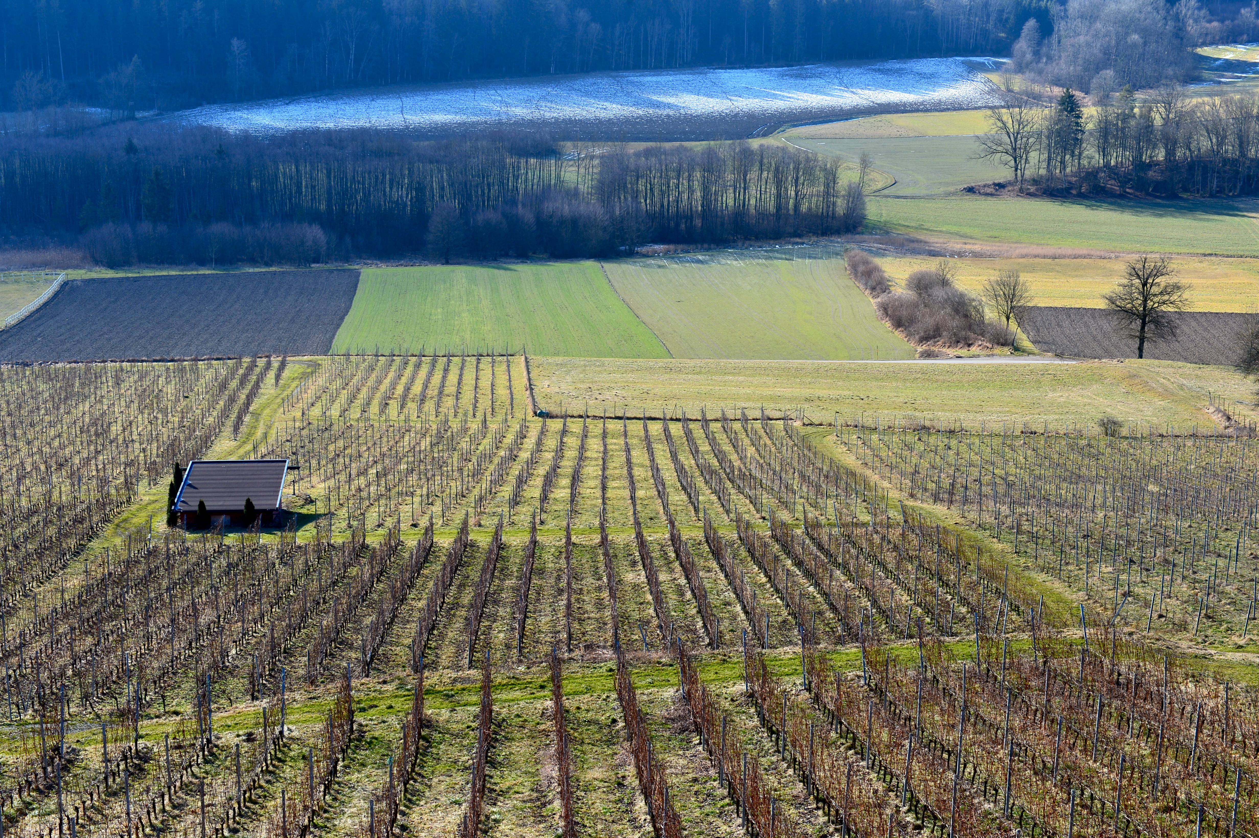 Sankt Peter am Bichl Leiten Weingut Karnburg Rieden 27012015 249