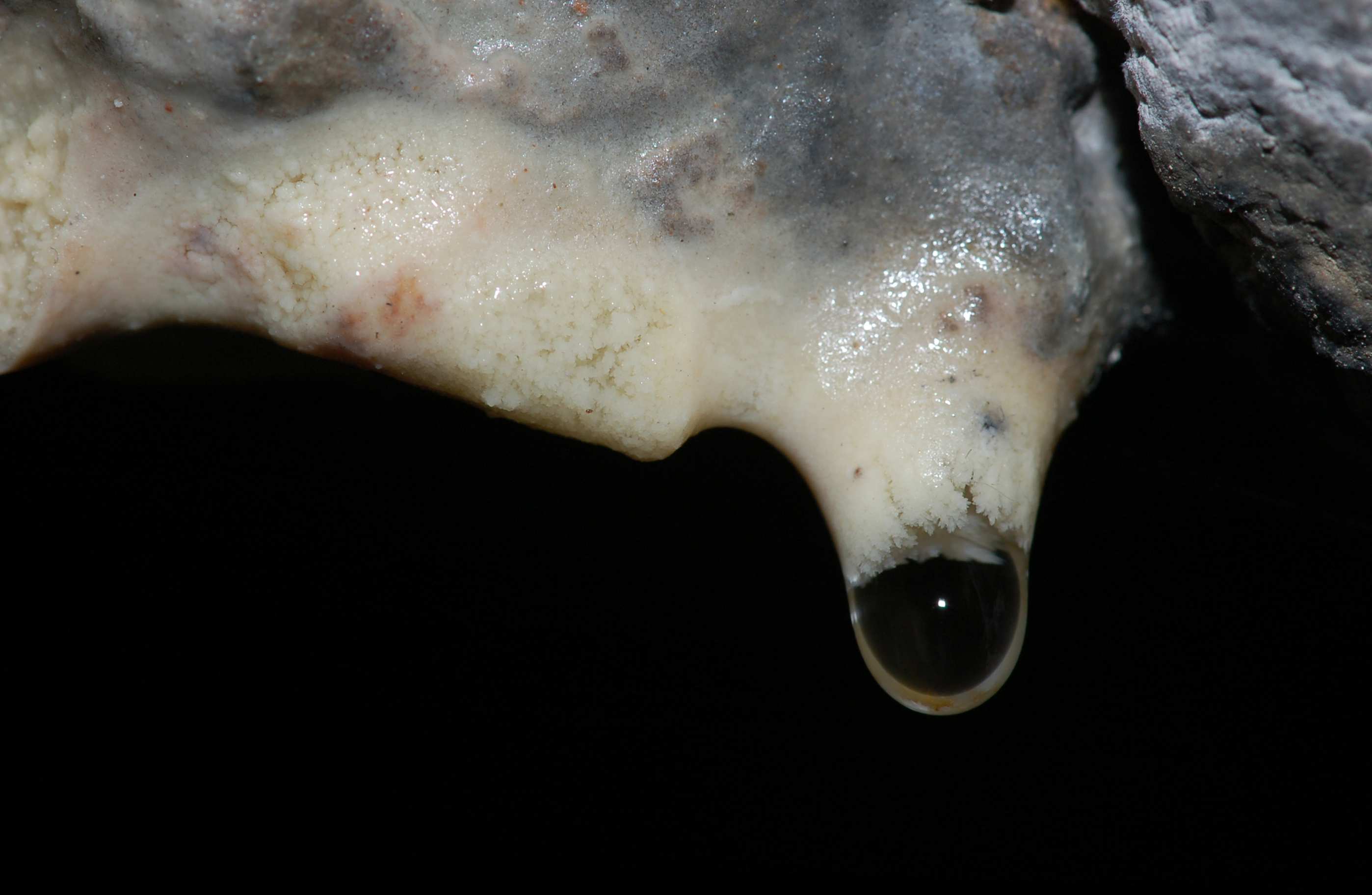 Stalactite drop