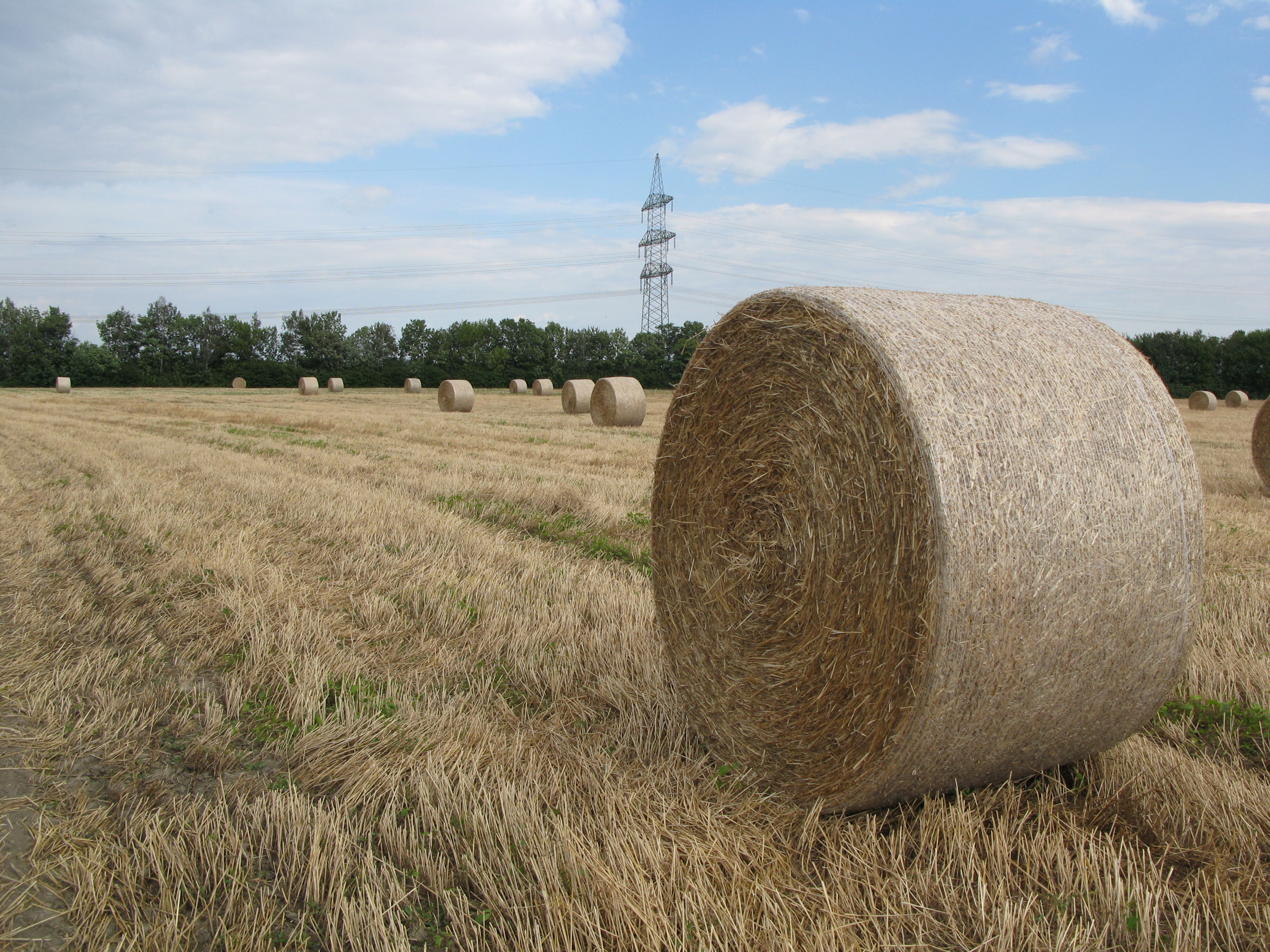 Strohballen neben einer Hochspannungsleitung