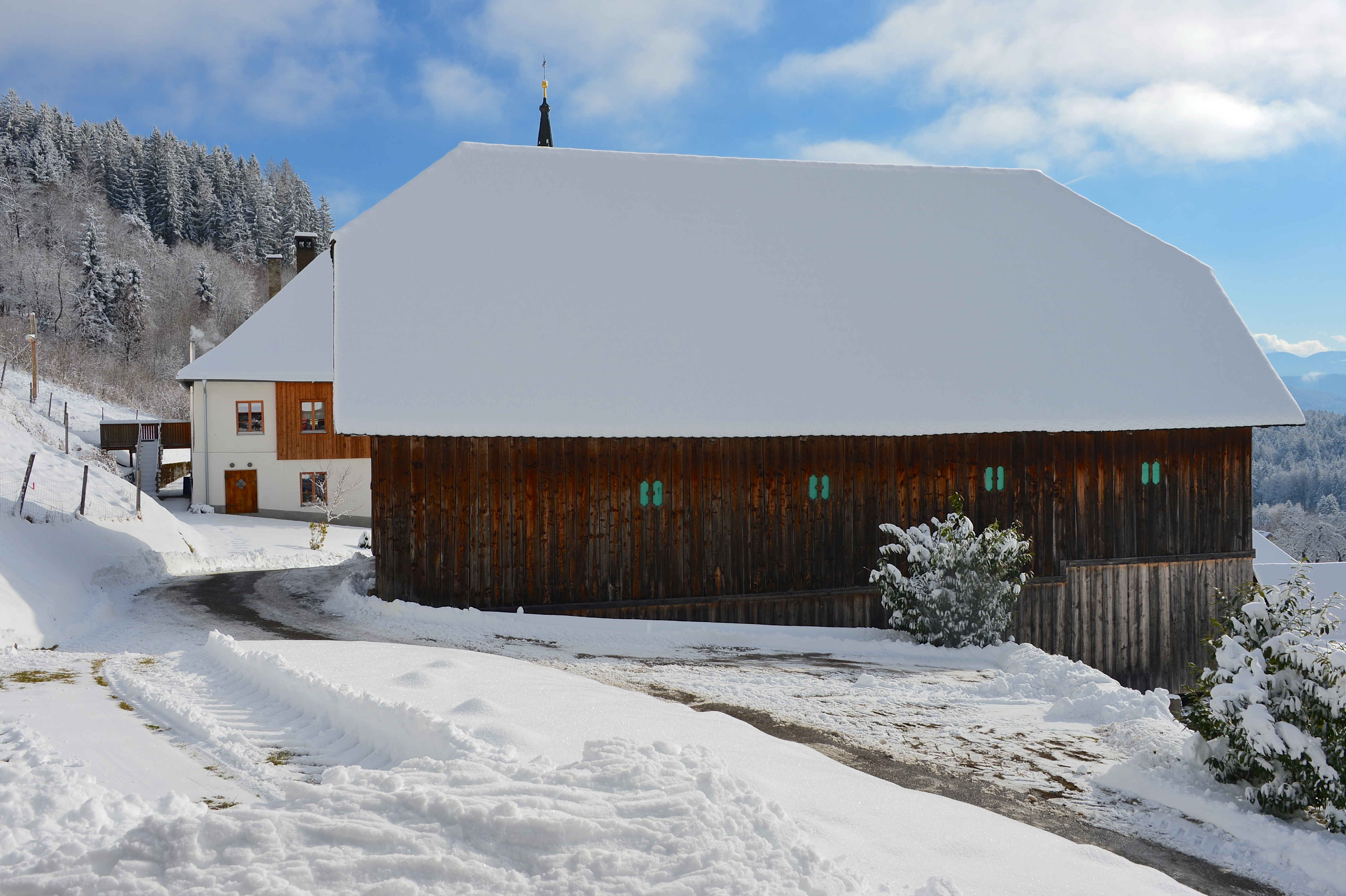Techelsberg Sankt Martin Pfarrstadel 31012015 735