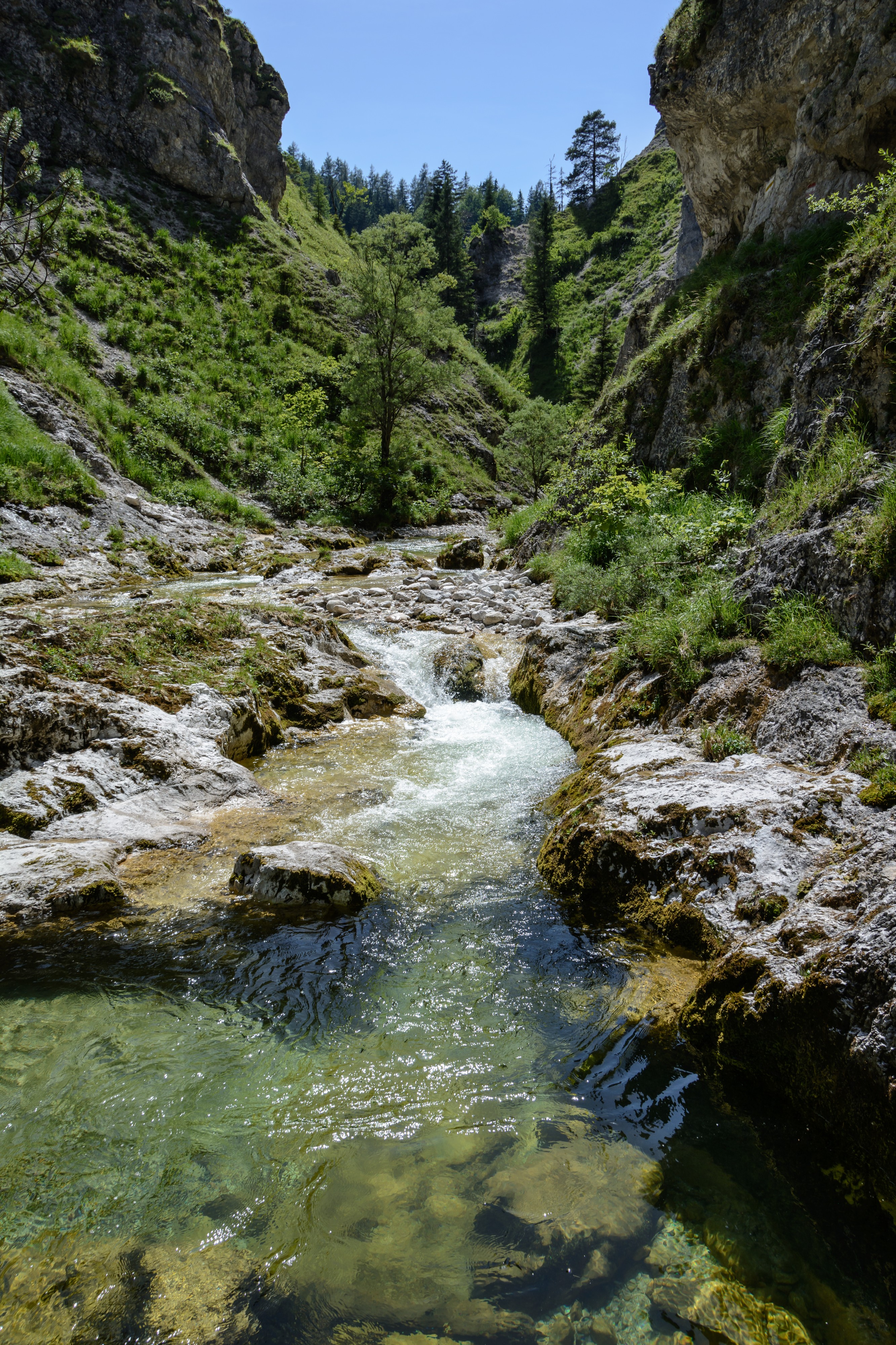 Ötscherbach 10