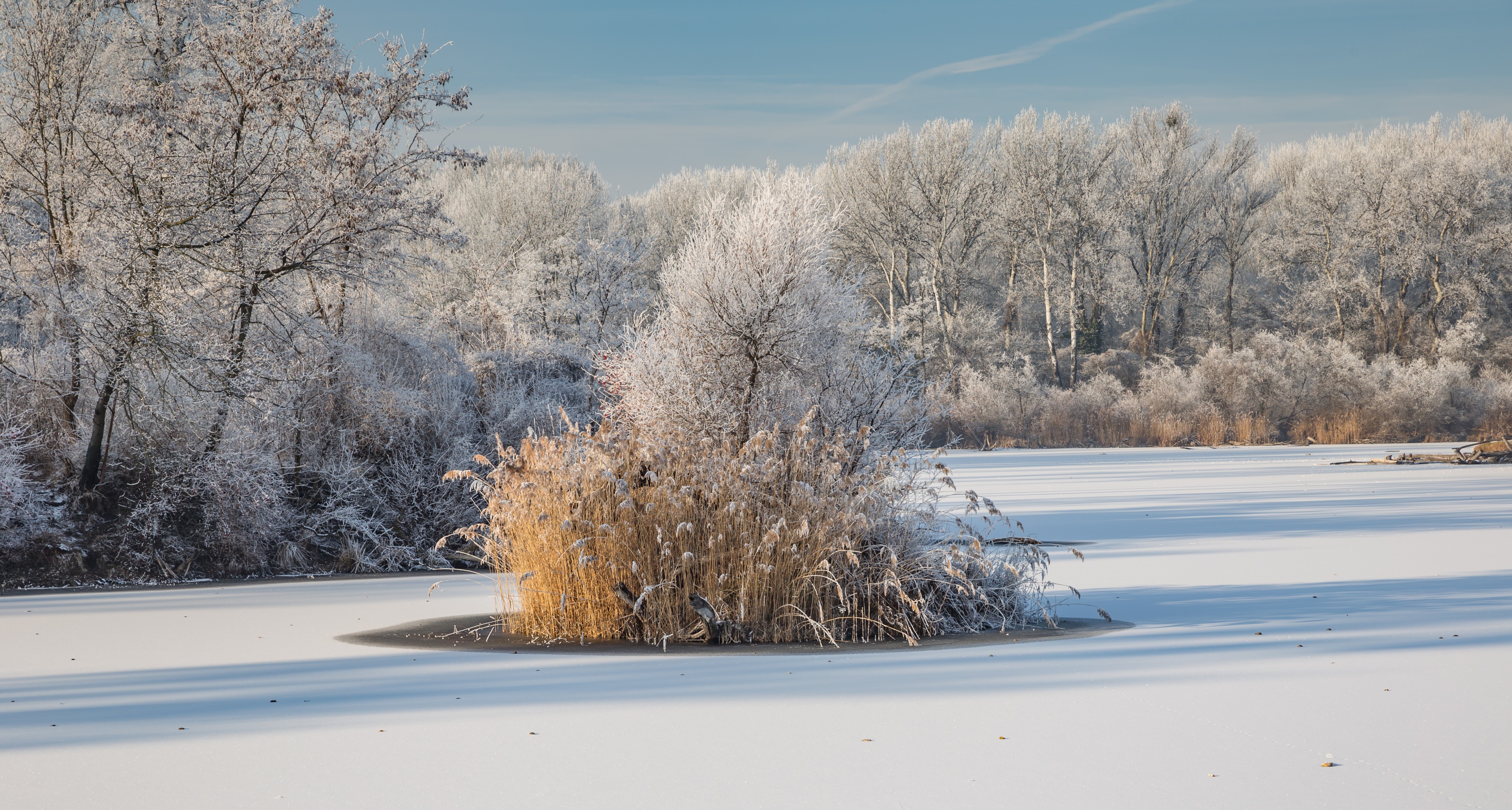 Dechantlacke - Lobau Wien-2475