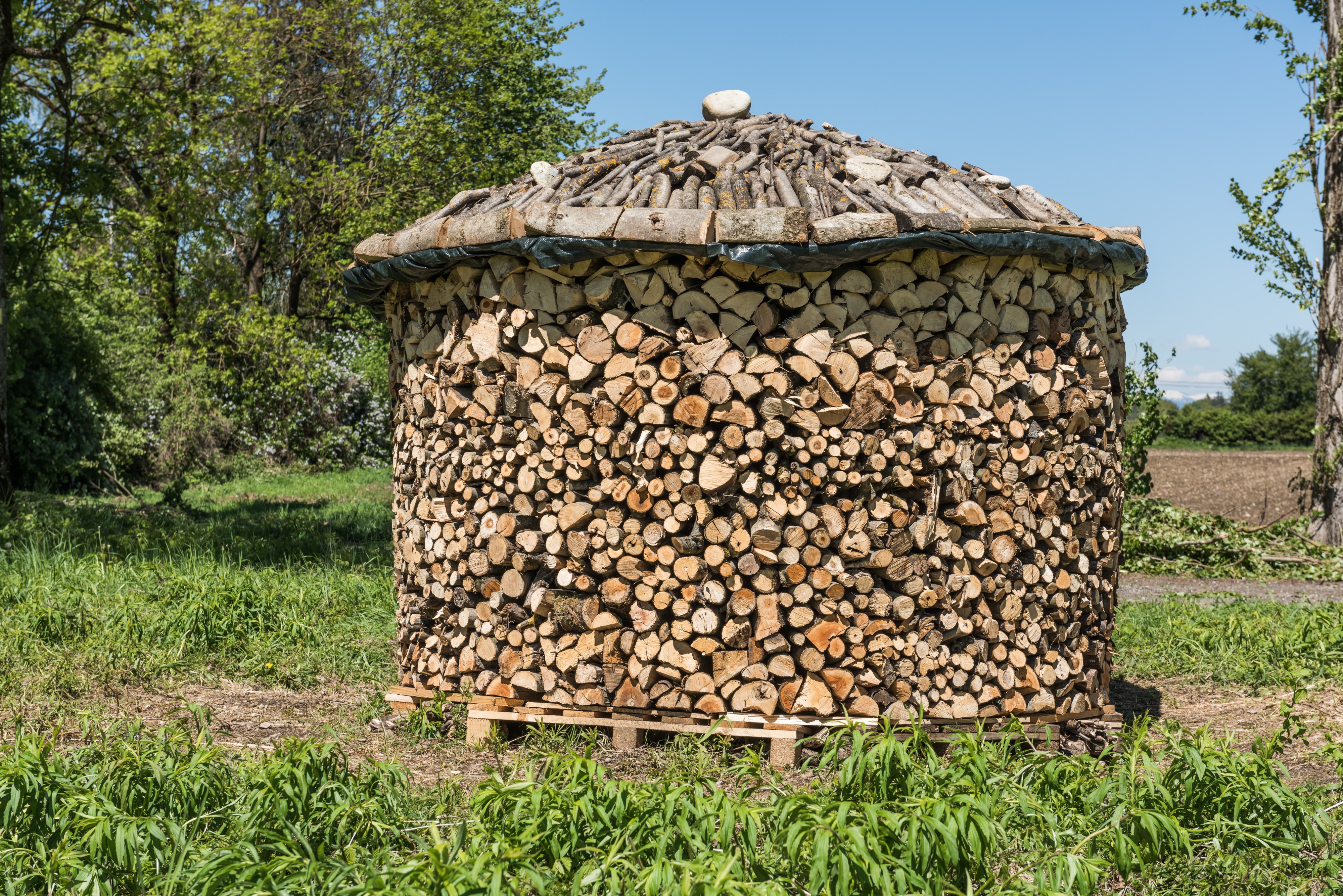 Ebenthal Friedrich-Gagern-Strasse Brennholzstapel 30042016 1817