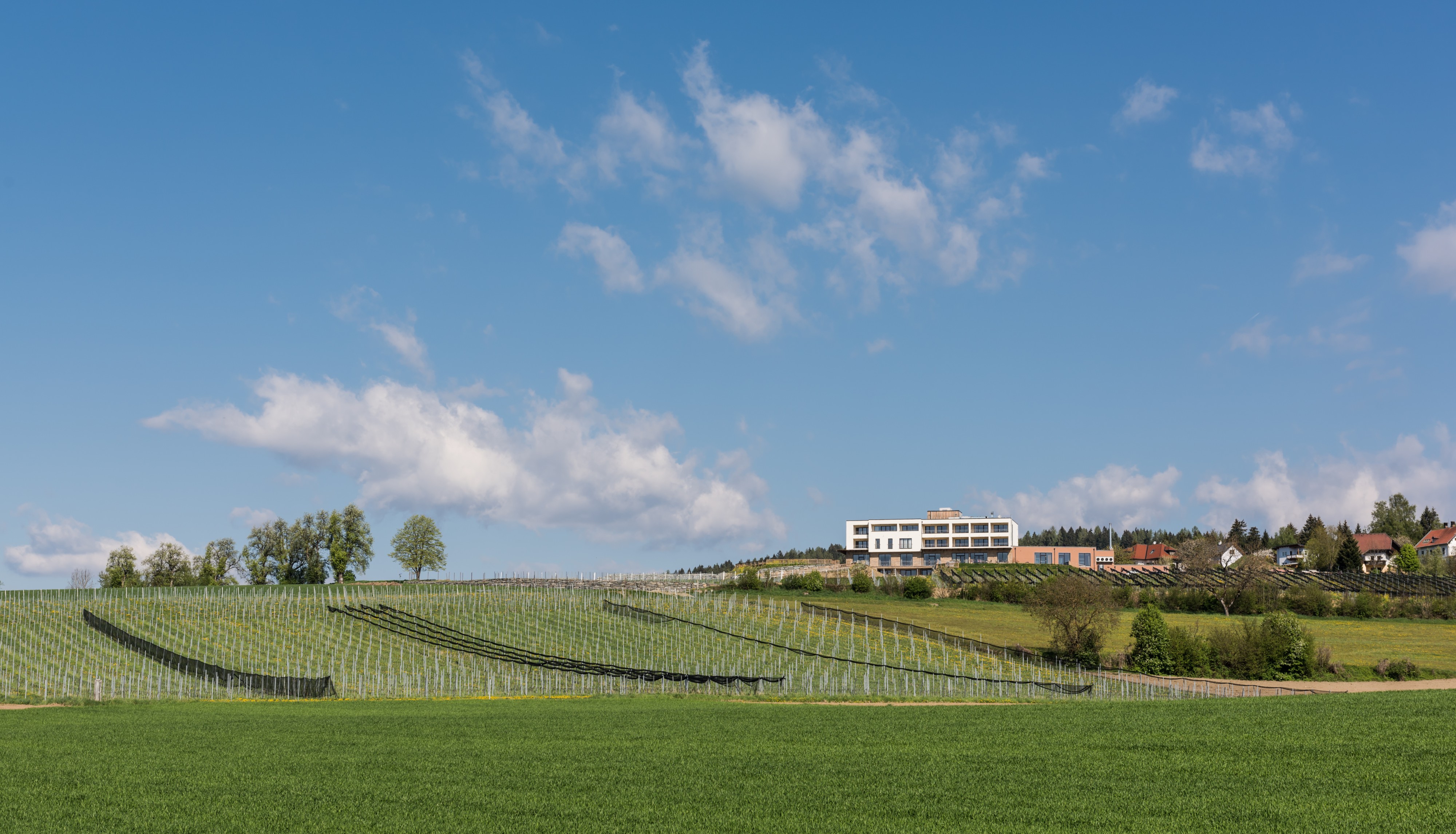 Feldkirchen Briefelsdorf 55 Weingut Winzerei Trippel 20042016 1588