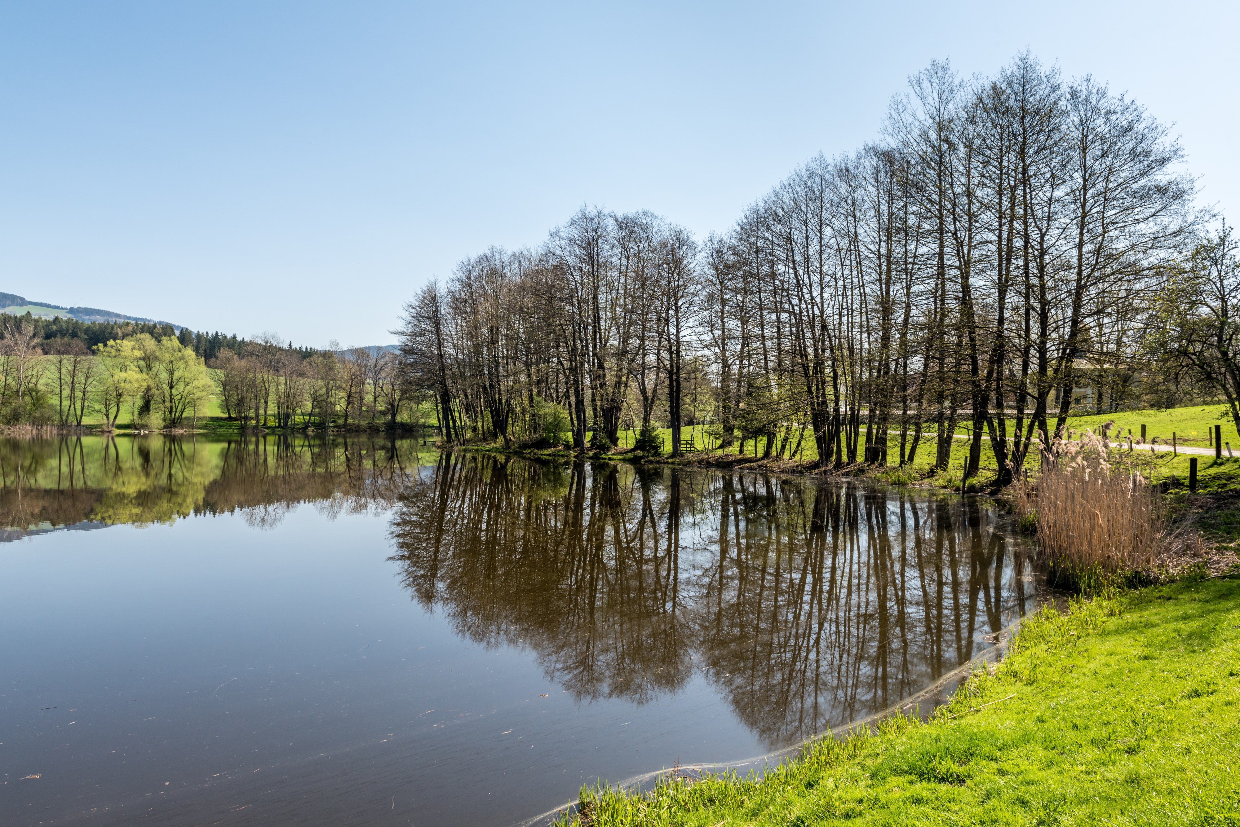 Feldkirchen Dietrichstein Dietrichsteiner See 19042018 2971