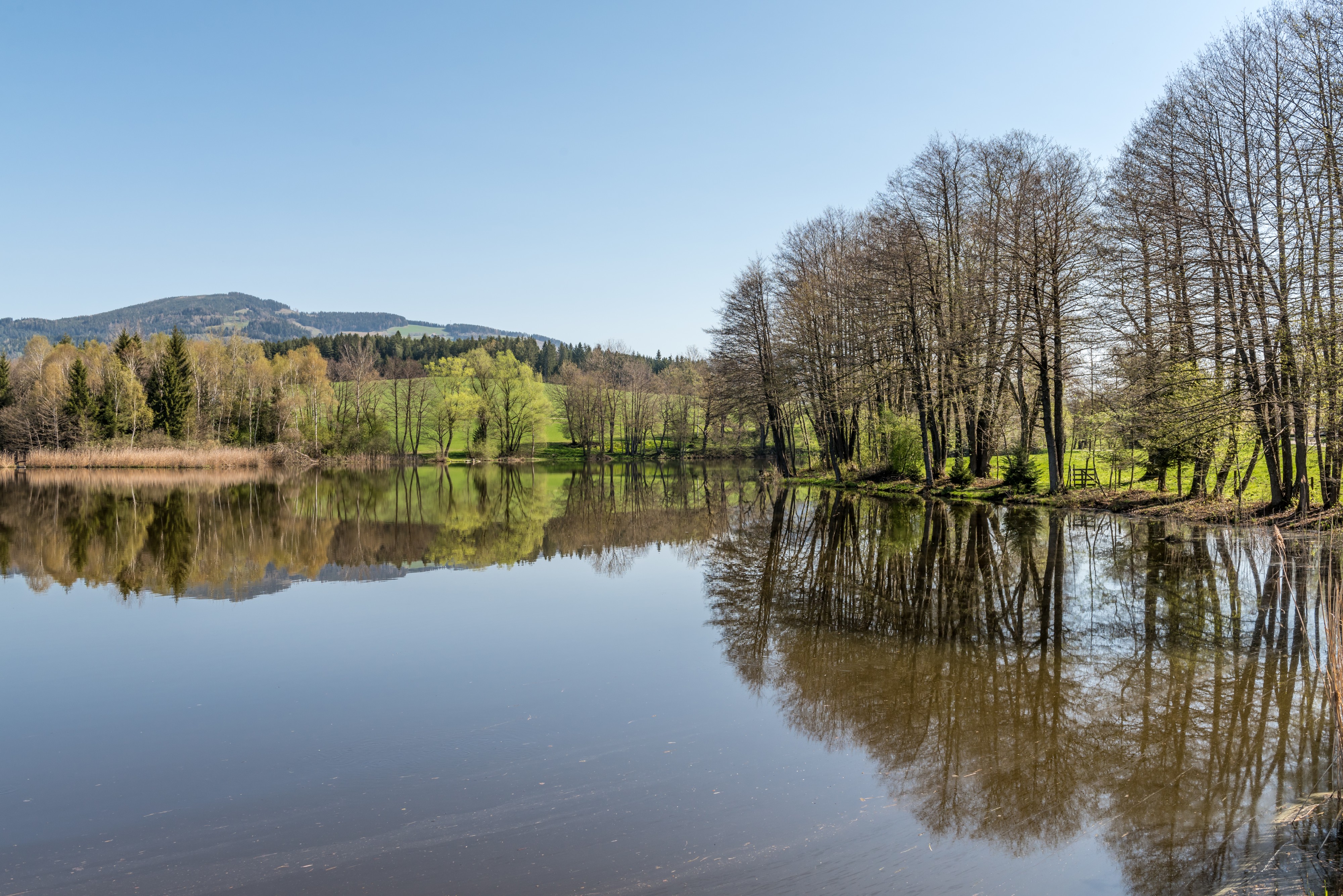 Feldkirchen Dietrichstein Dietrichsteiner See West-Ansicht 19042018 2969