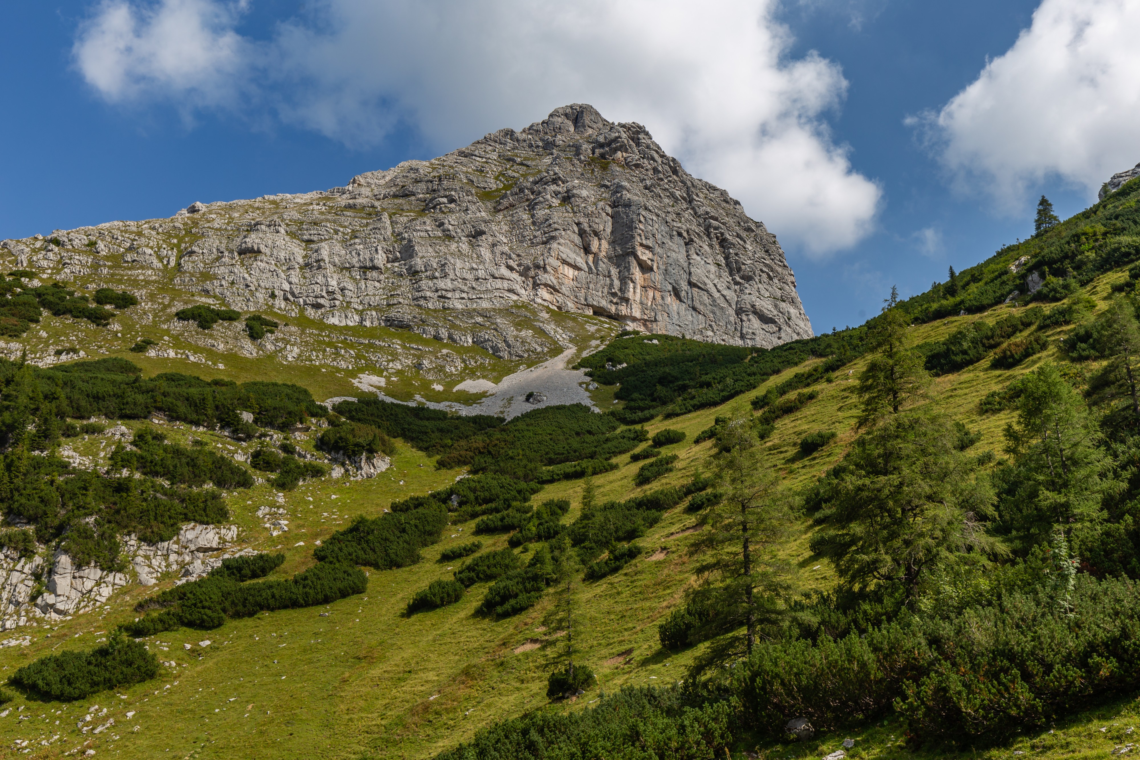 Hochzinödl, Gesäuse National Park, Ennstaler Alpen, Austria 01