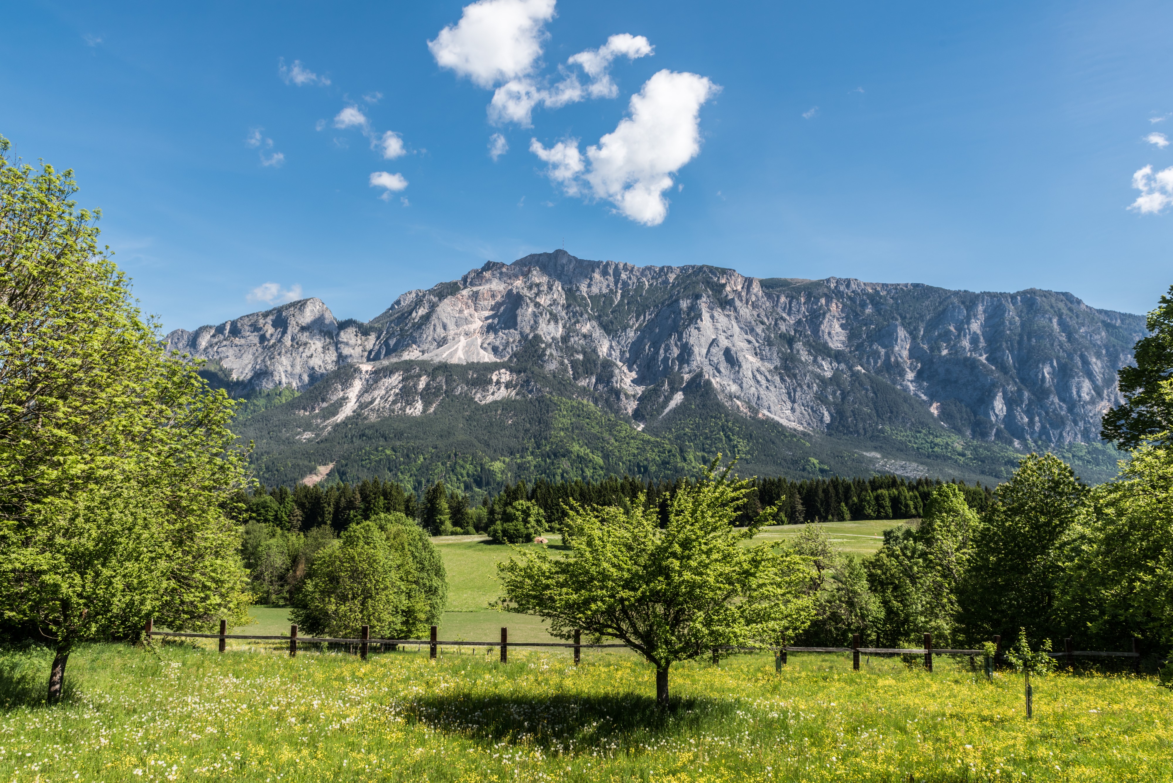 Hohenthurn Blick zum Dobratsch Sued-Ansicht 16052017 8452
