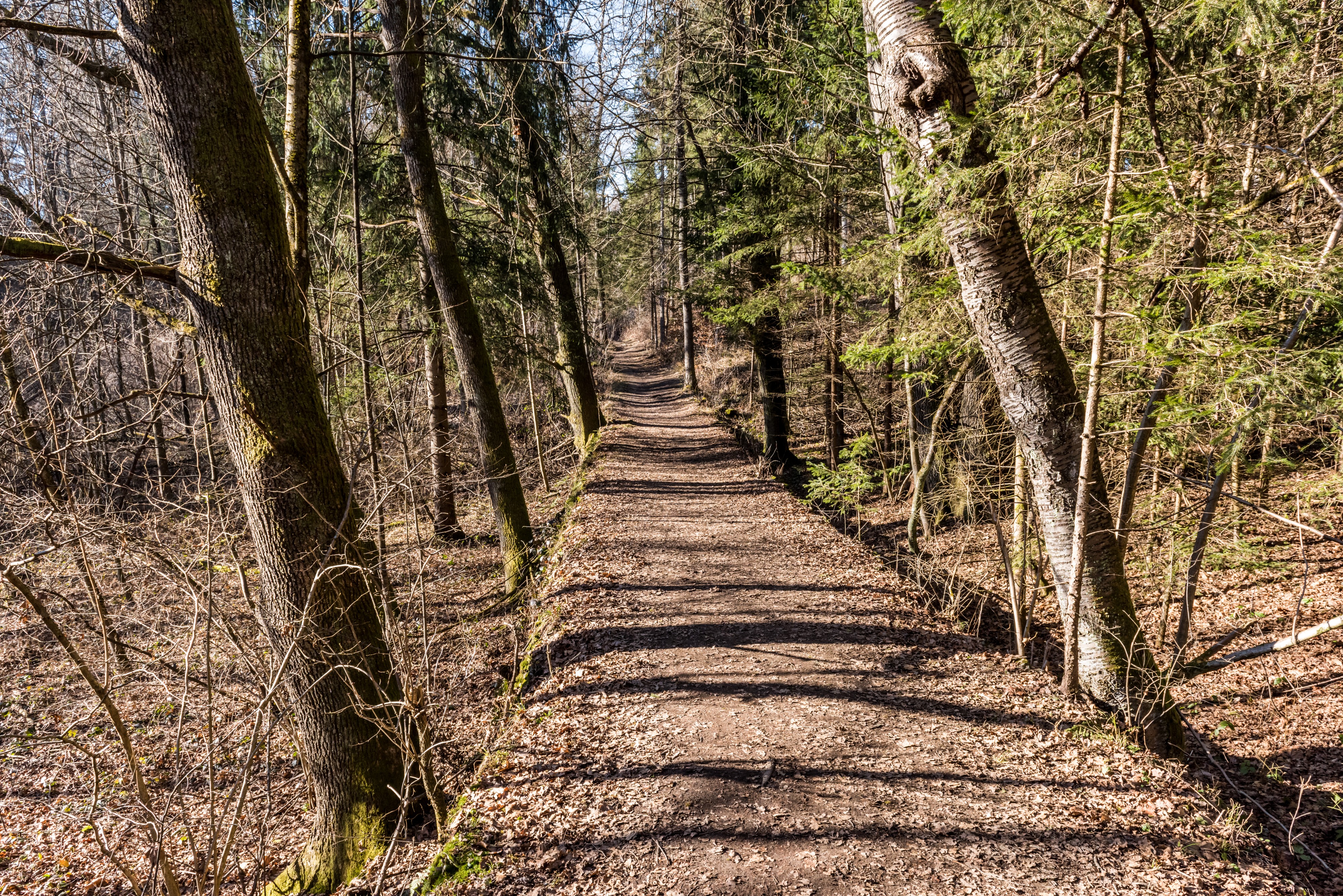 Klagenfurt Sankt Martin Kreuzbergl Waldweg 2501201 2406