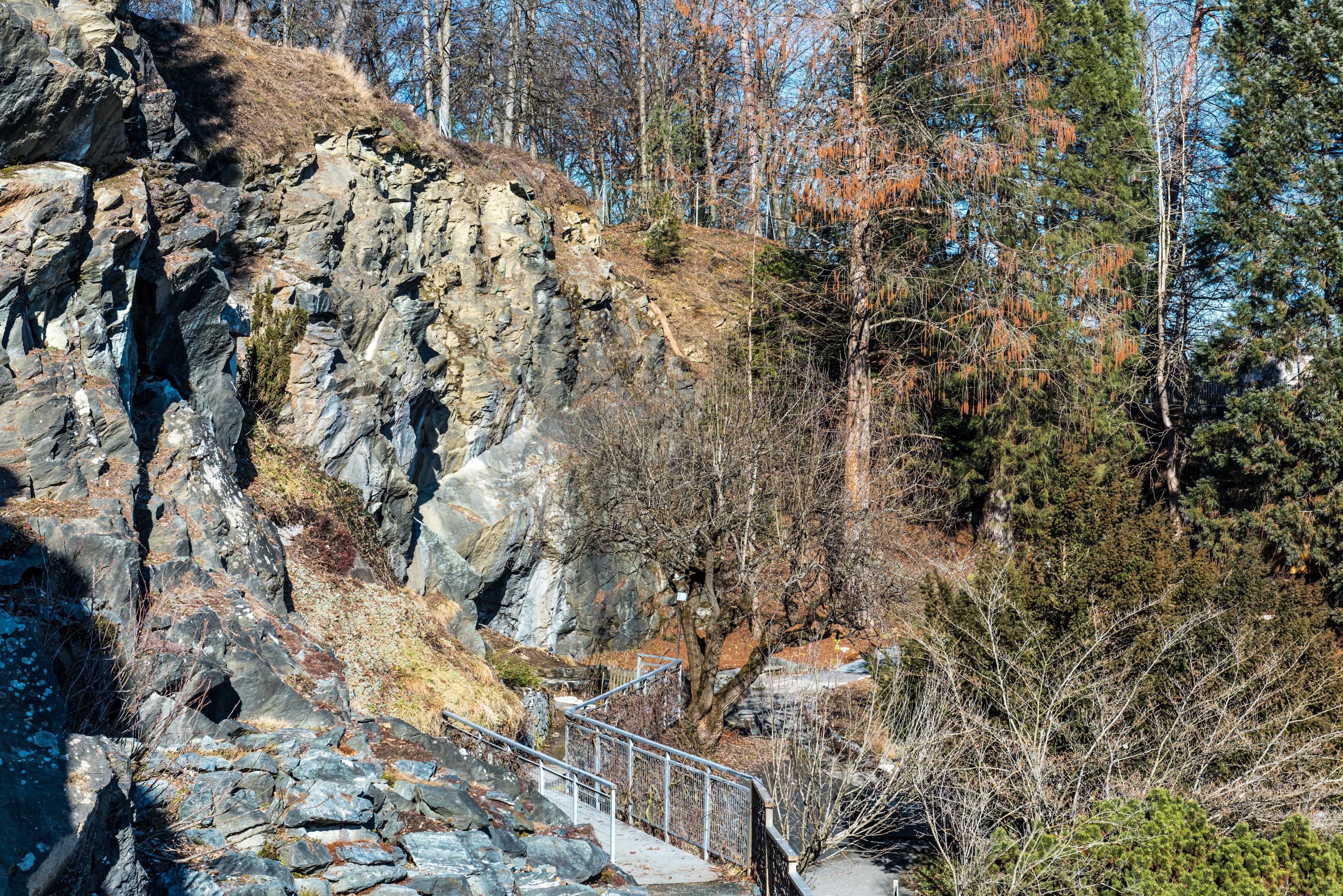 Klagenfurt Villacher Vorstadt Botanischer Garten Felsnische 29012018 2481
