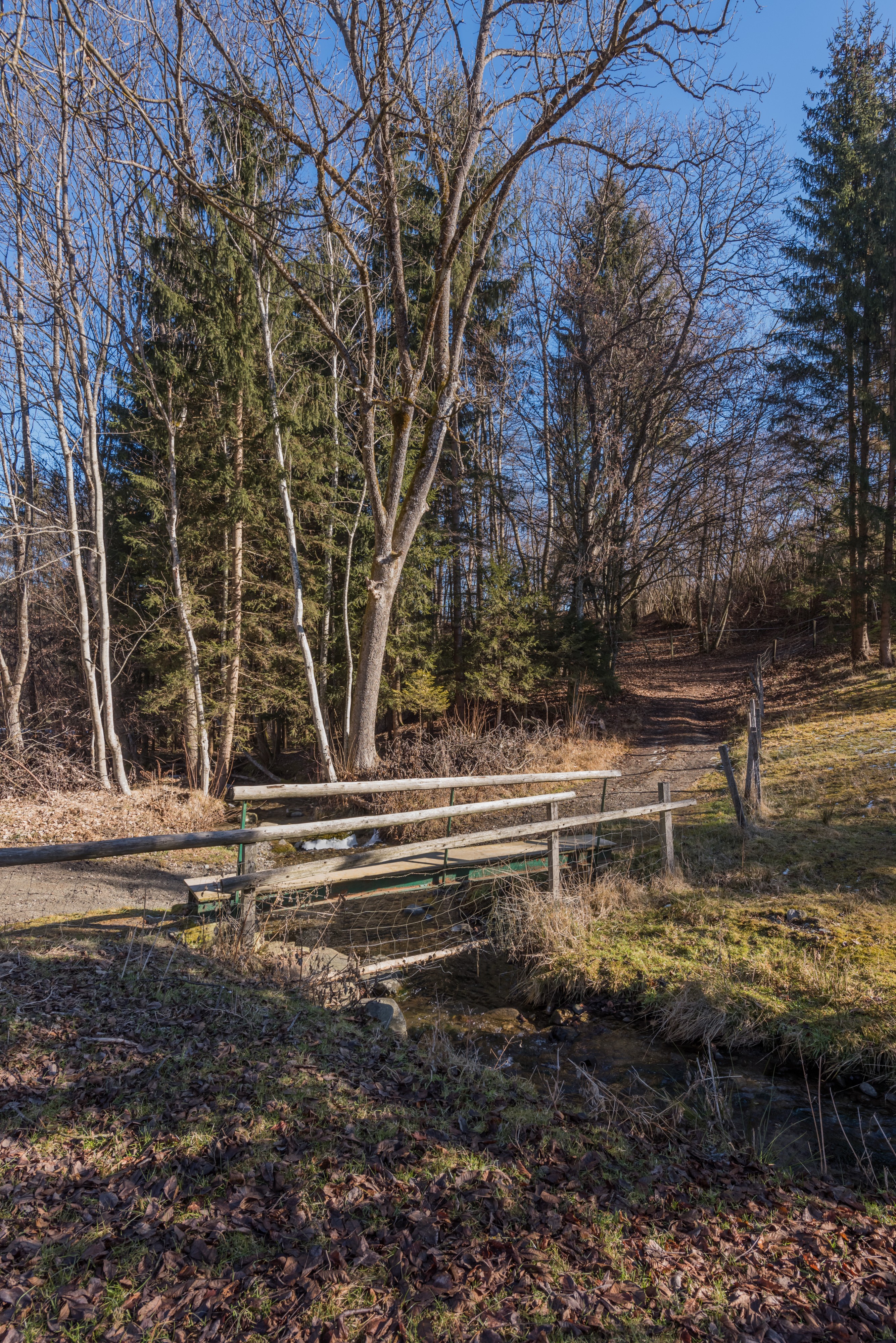 Moosburg Baerndorf Bruecke ueber Stallhofener Bach 28012016 0397