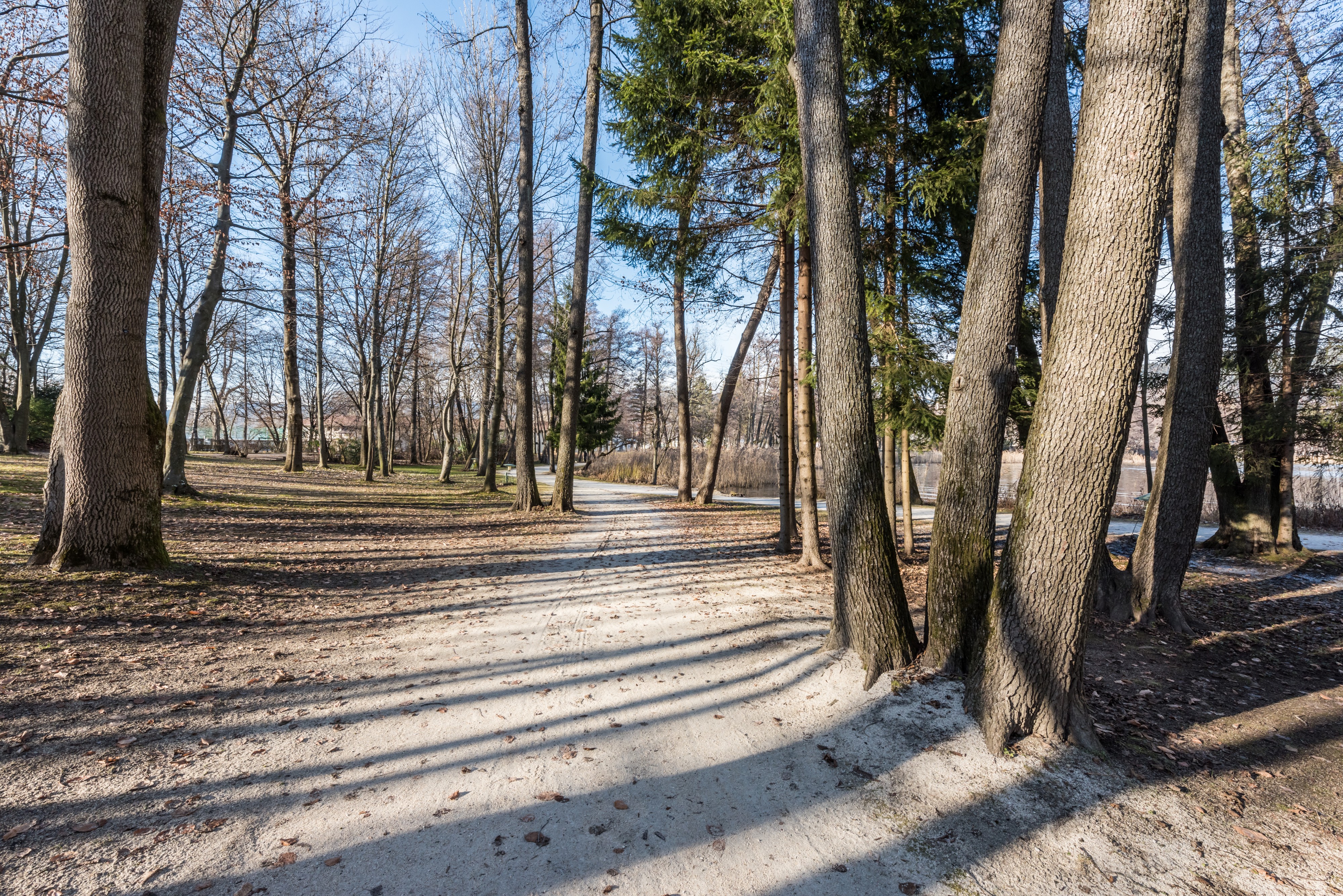 Pörtschach Halbinselpromenade 16012018 2264
