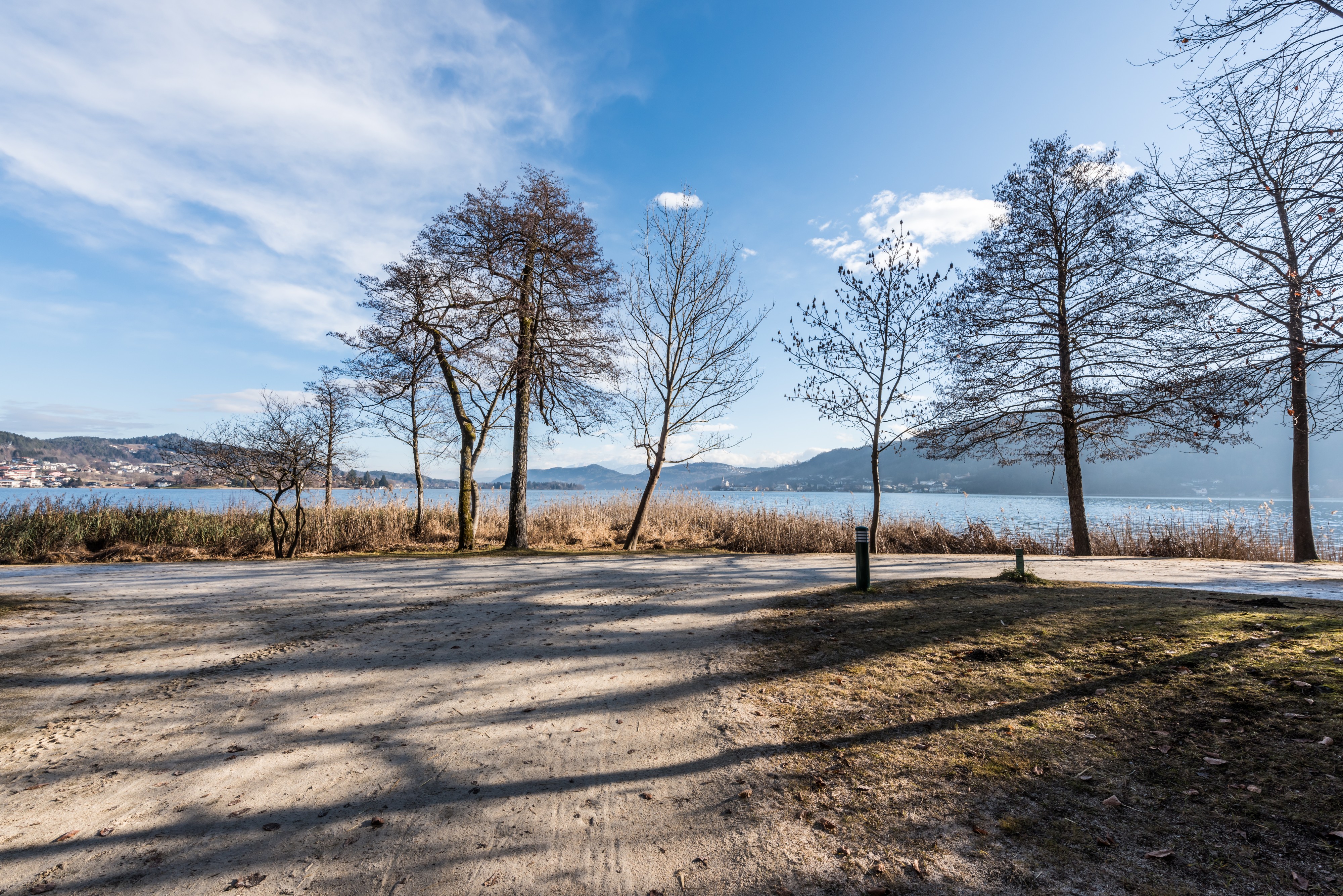 Pörtschach Halbinselpromenade Erlen und Ahorn 16012018 2266