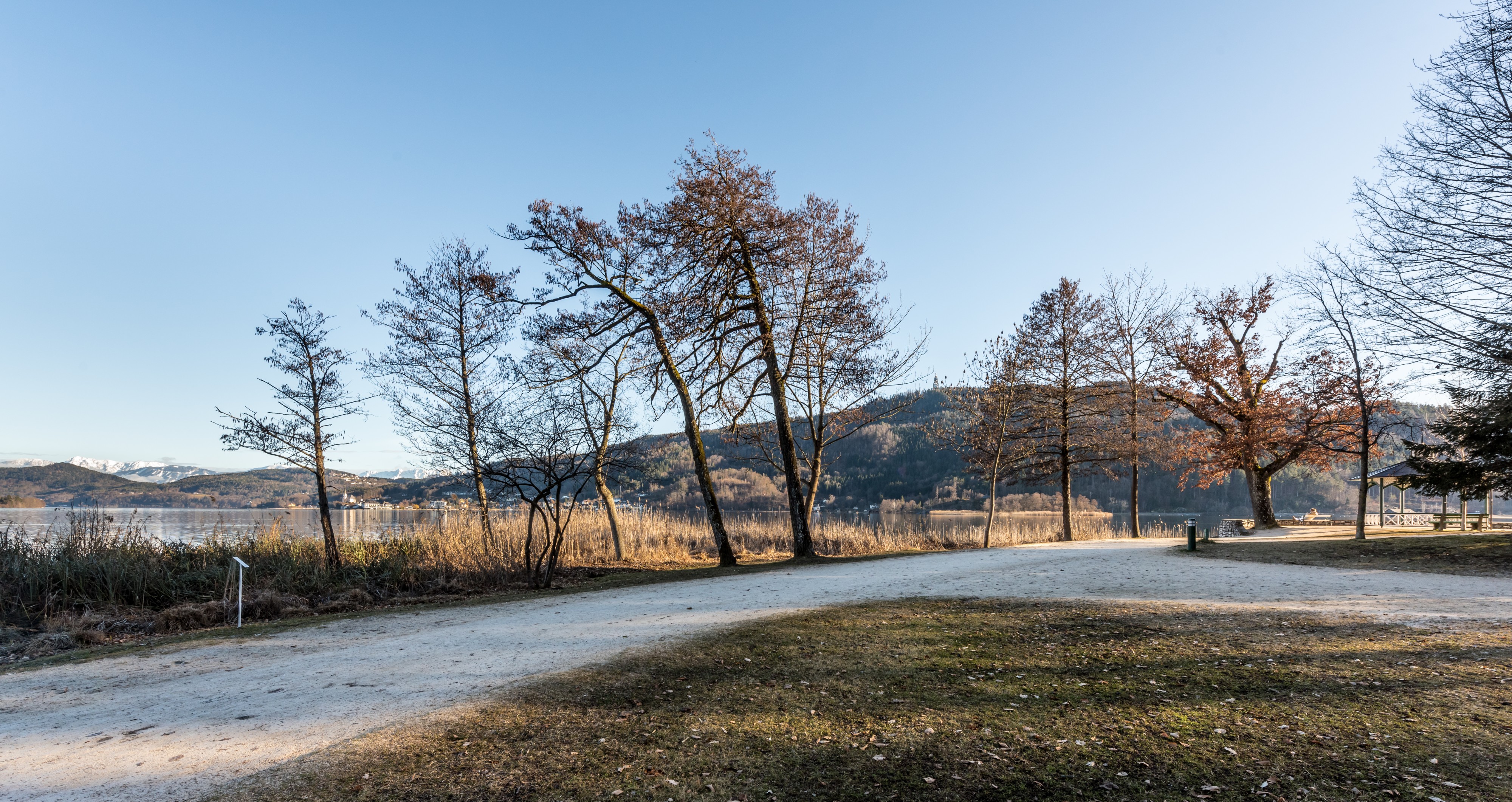 Pörtschach Halbinselpromenade Landspitz Bäume 16032018 2712