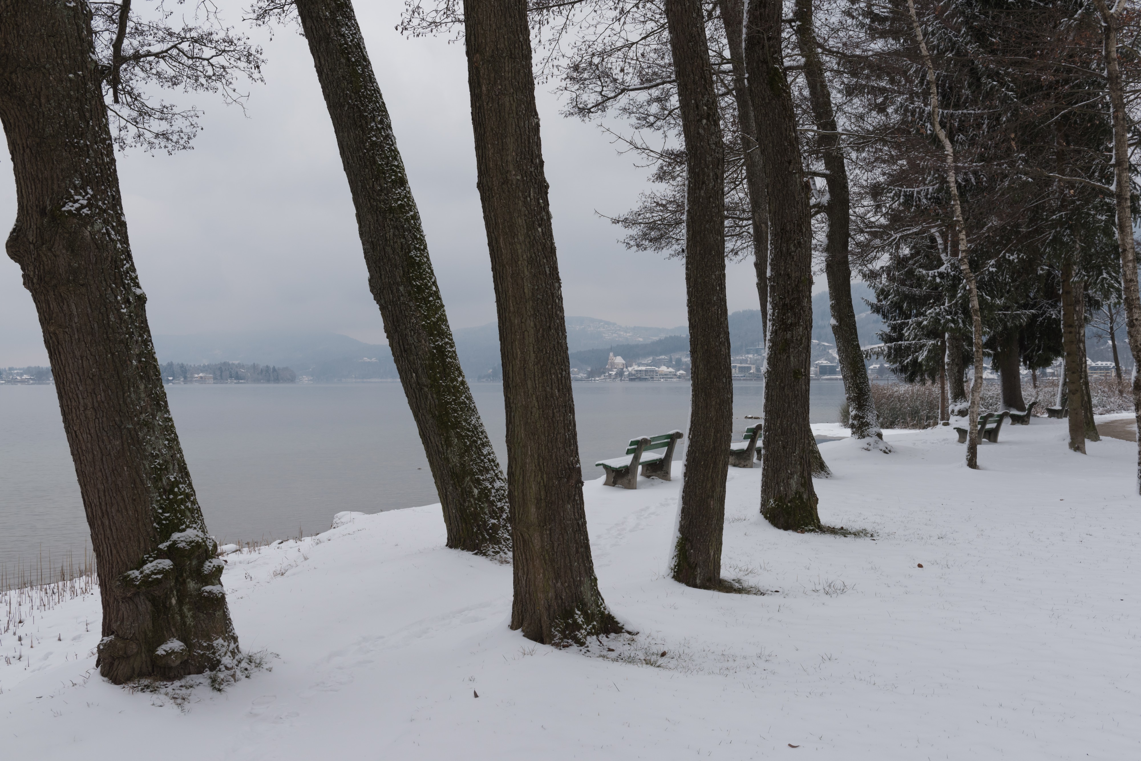 Pörtschach Halbinselpromenade Maria Wörth-Blick 03012016 9937
