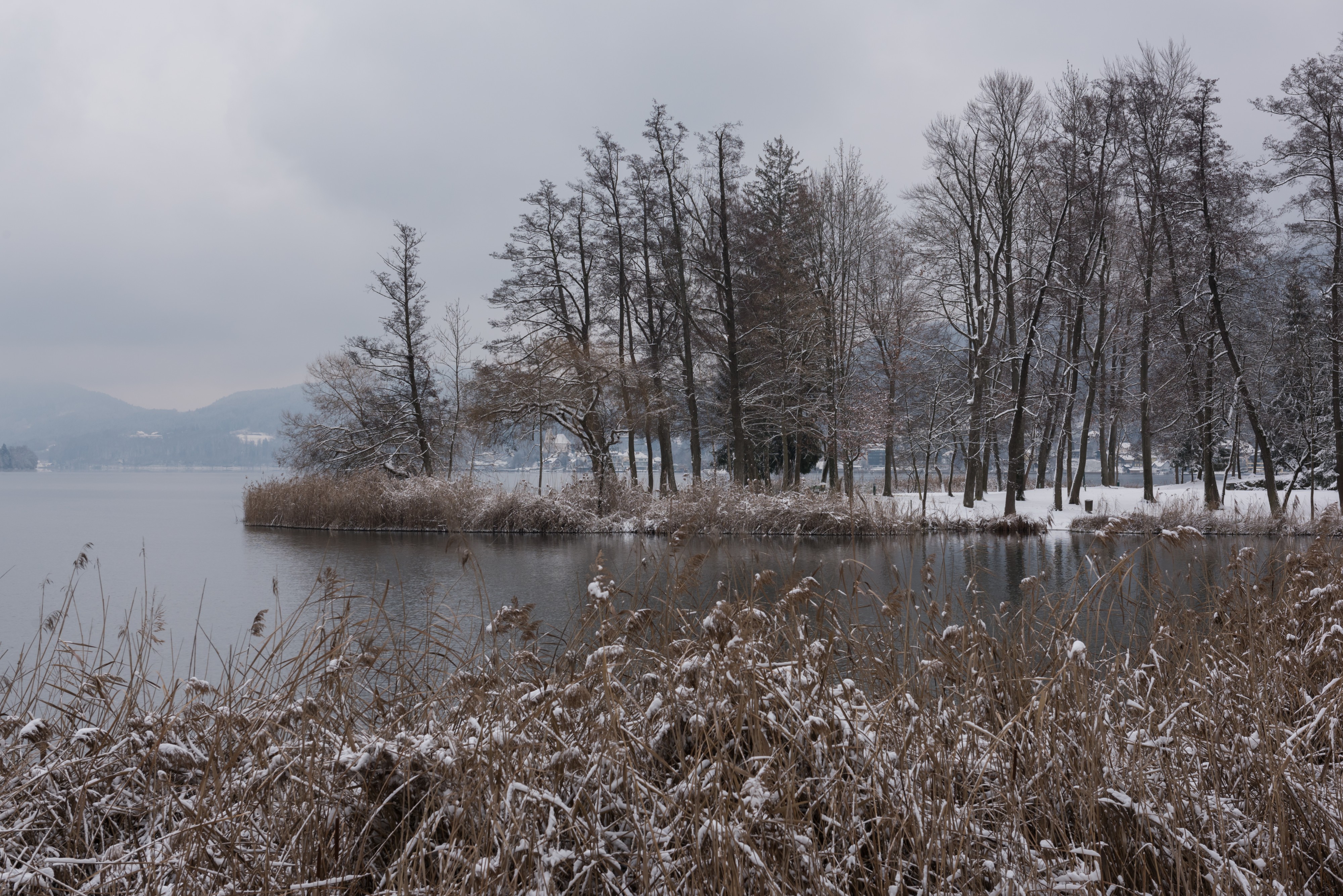 Pörtschach Halbinselpromenade Park im Landschaftsschutzgebiet 03012016 9927
