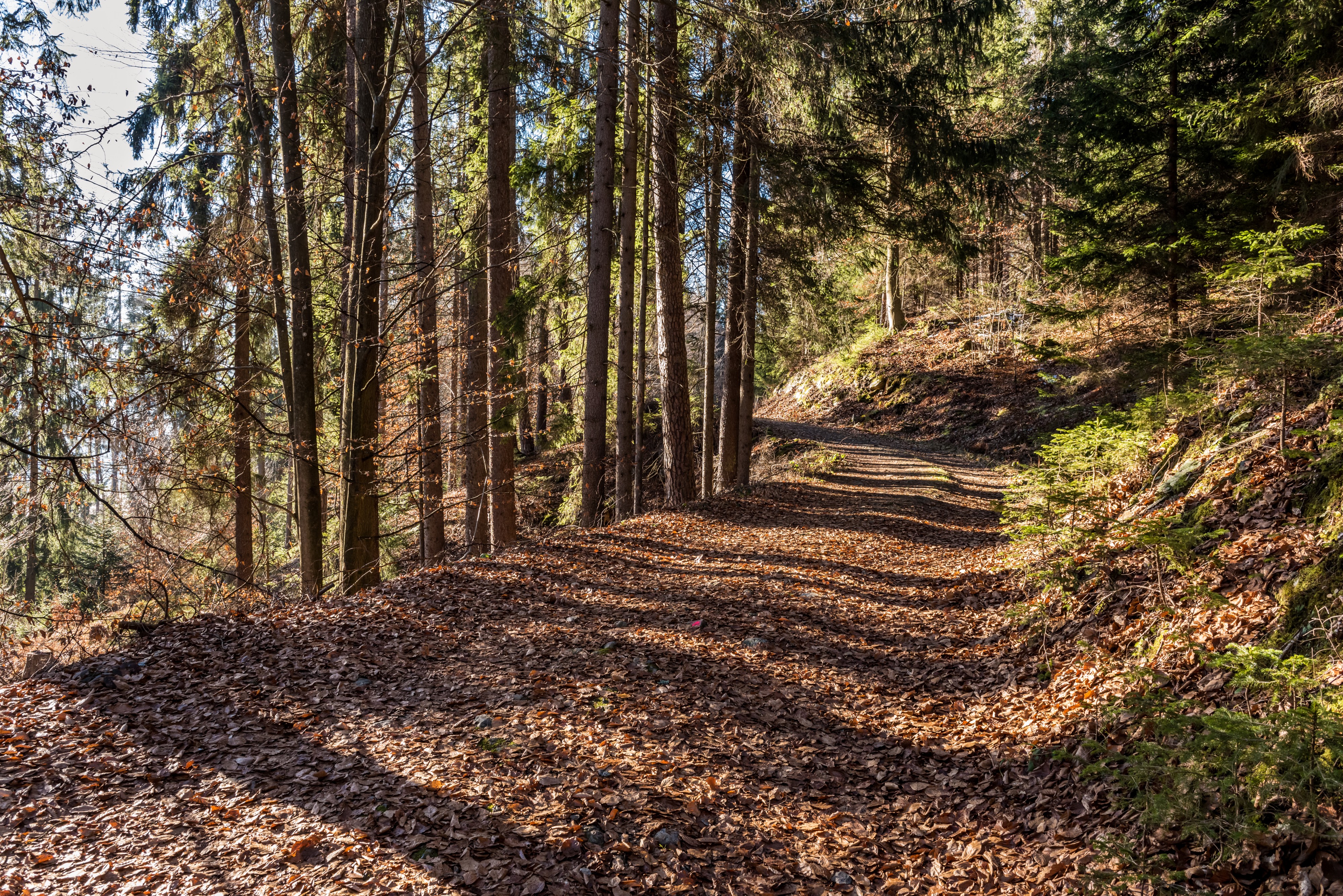 Pörtschach Winklern Bannwaldweg 8 Forststraße 25122017 2185