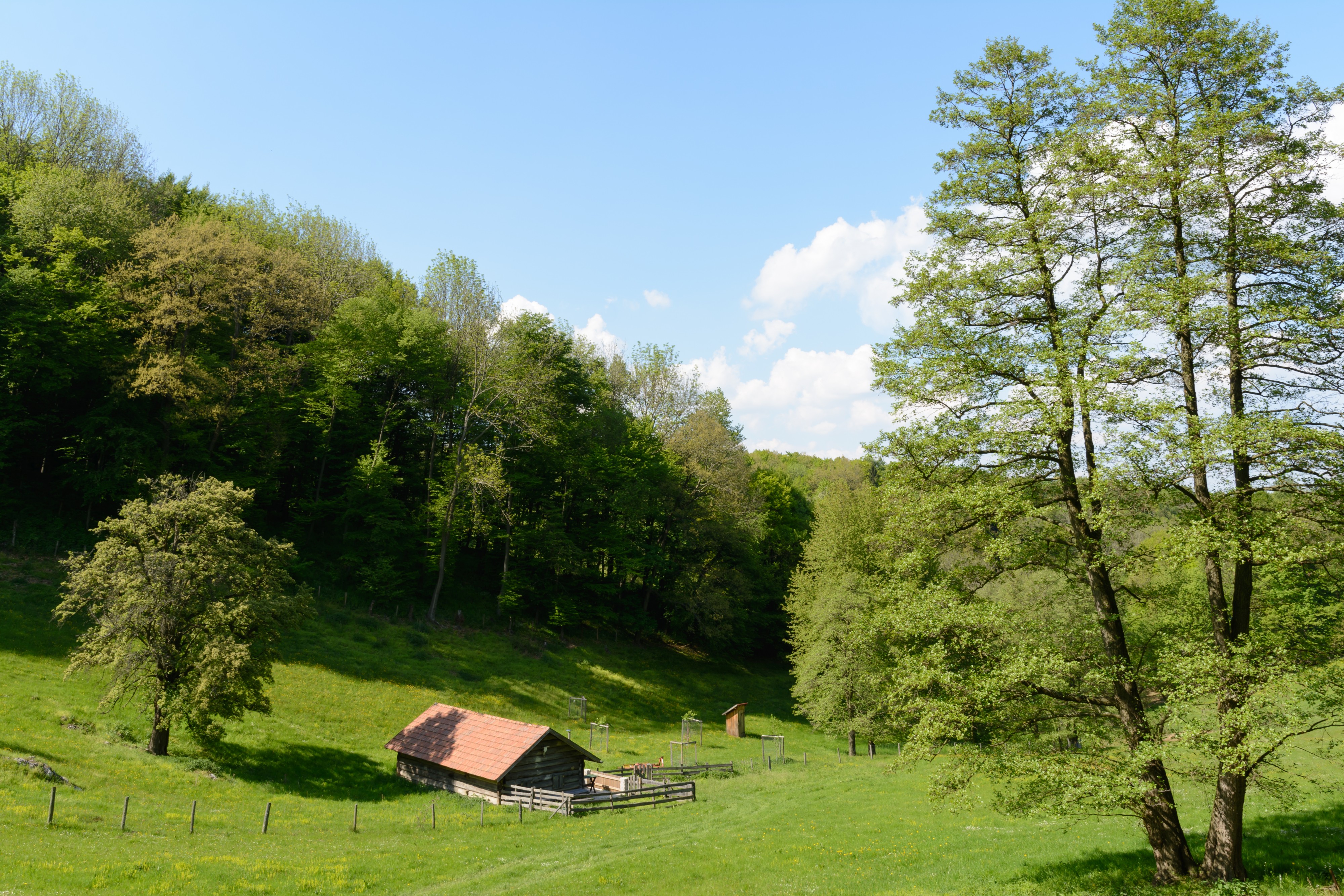 Peilstein Weide 20160507