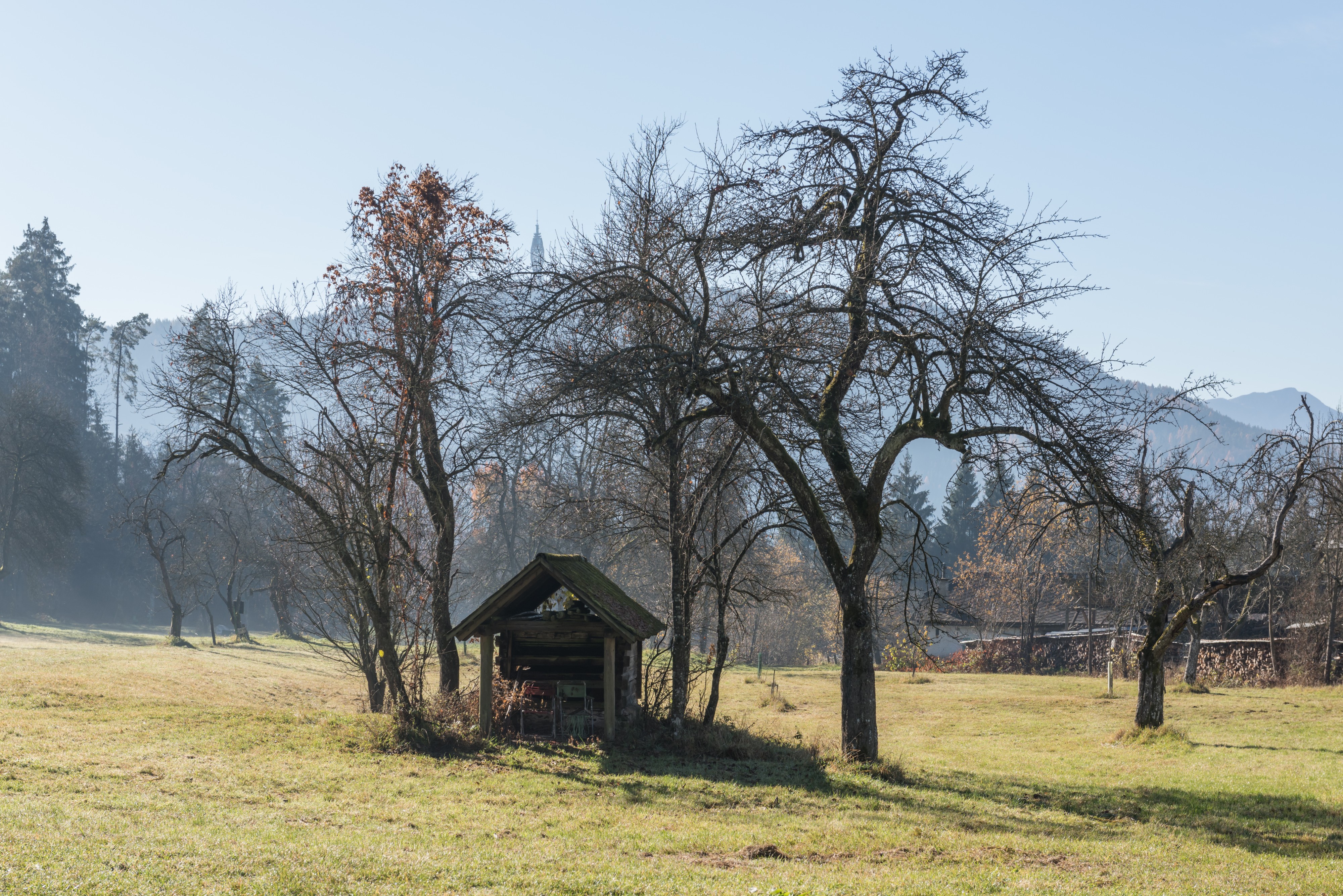 Poertschach Gaisrueckenstrasse Am Kåte Doerrkasten 16112015 9037
