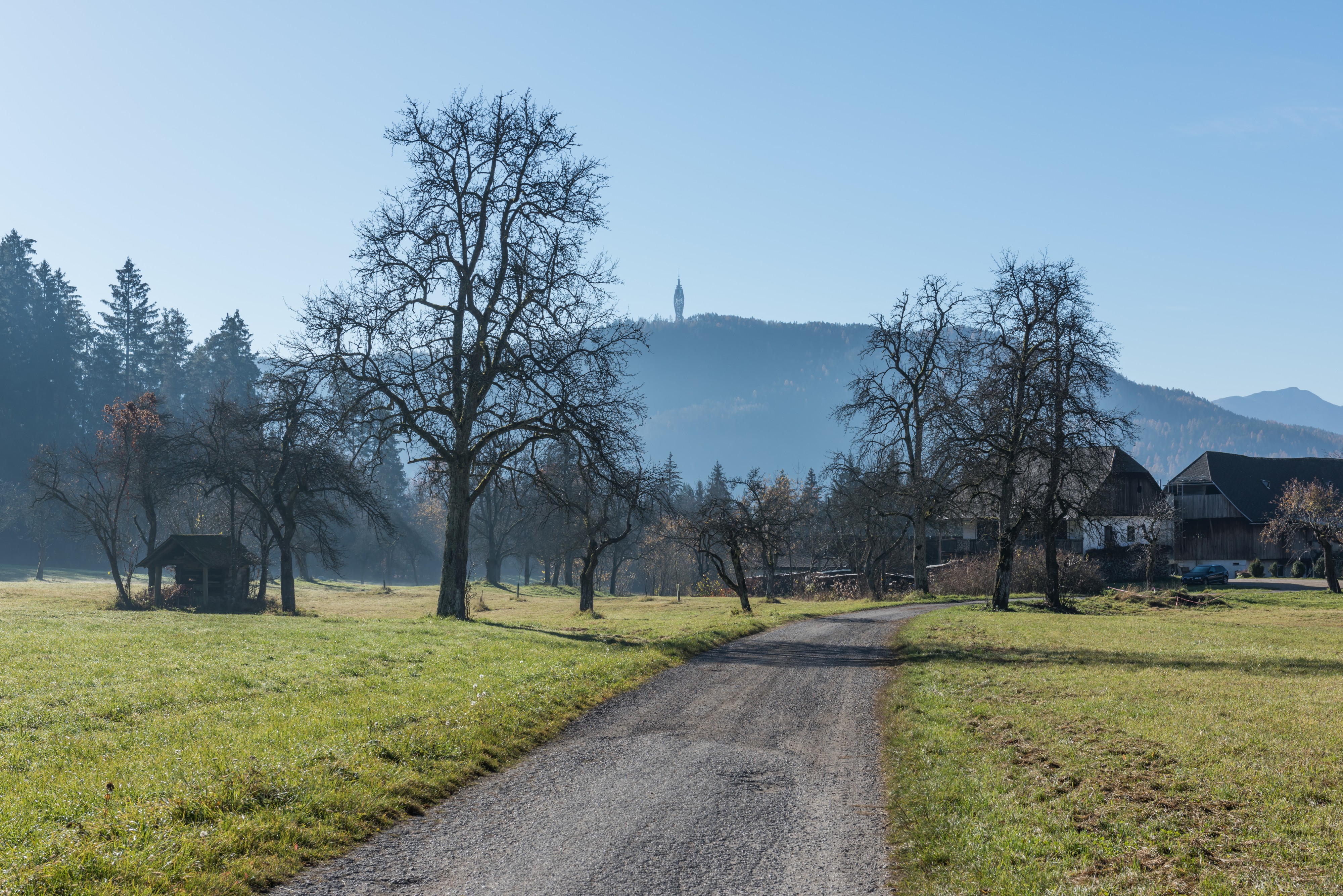 Poertschach Gaisrueckenstrasse Am Kåte Doerrkasten 16112015 9039