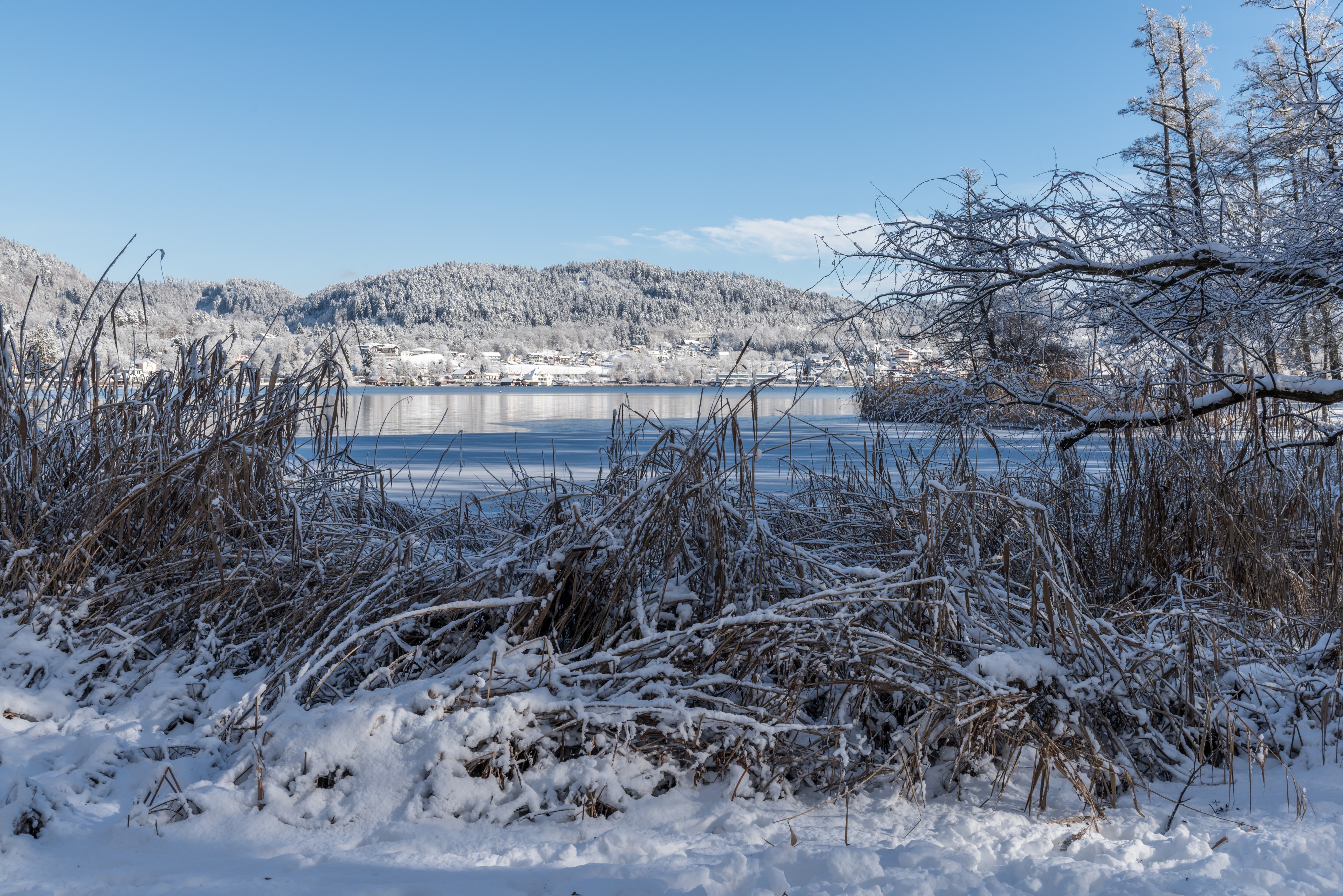 Poertschach Halbinselpromenade Blick auf Ostbucht und Pirkerkogel 14012017 6087