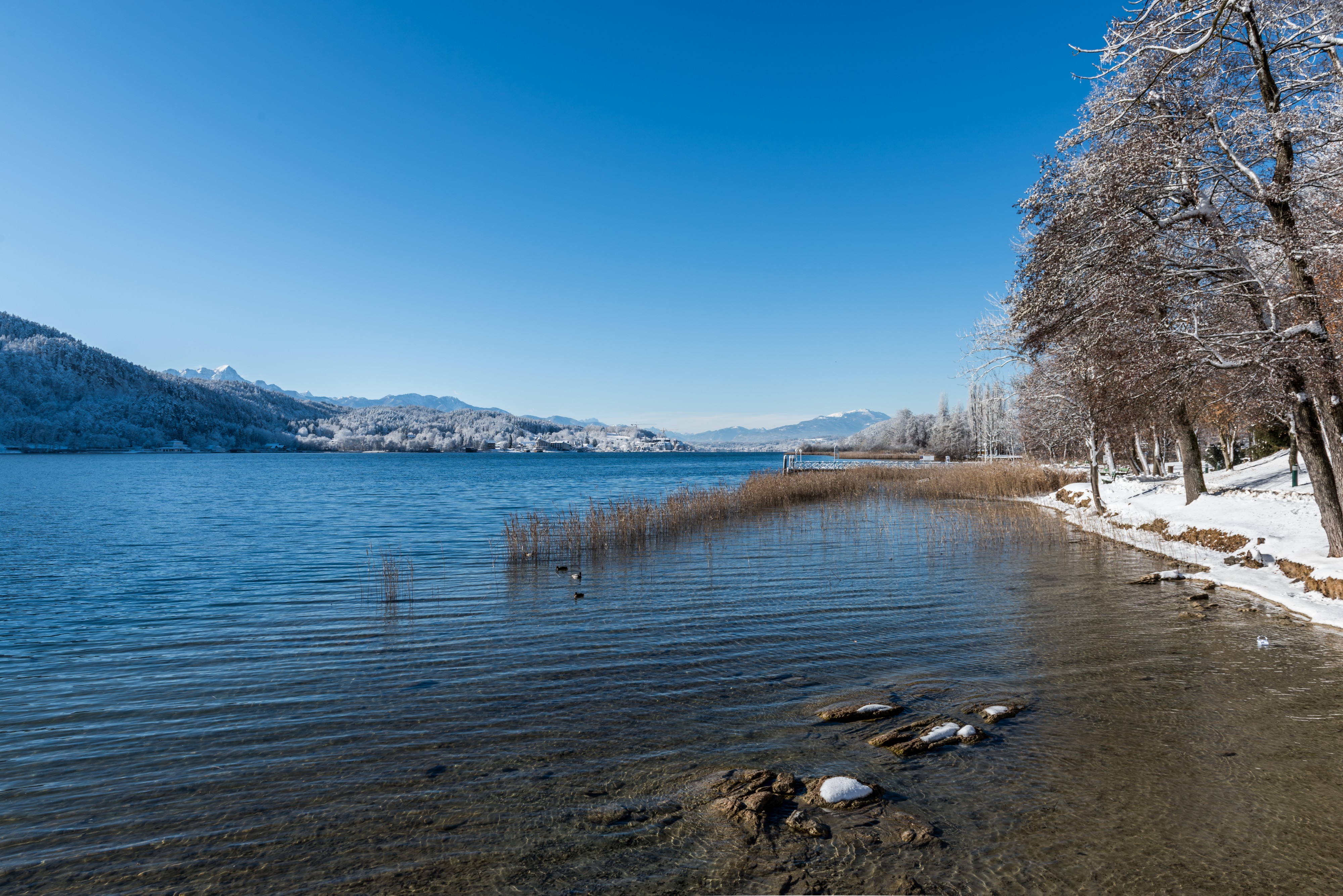 Poertschach Halbinselpromenade Landspitz Blick nach Dellach 14012017 6097