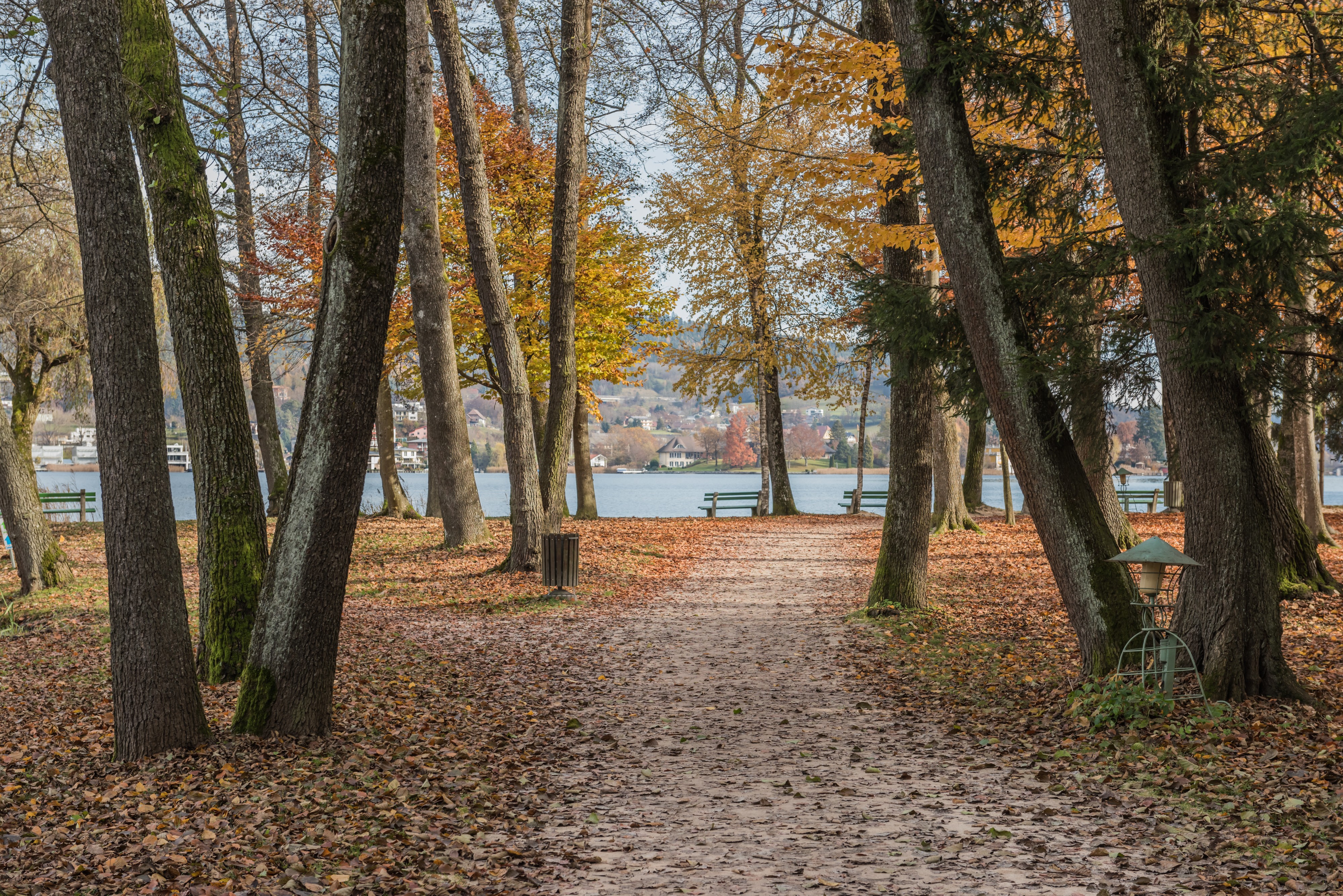 Poertschach Halbinselpromenade Landspitz Herbstlaub 13112016 5395