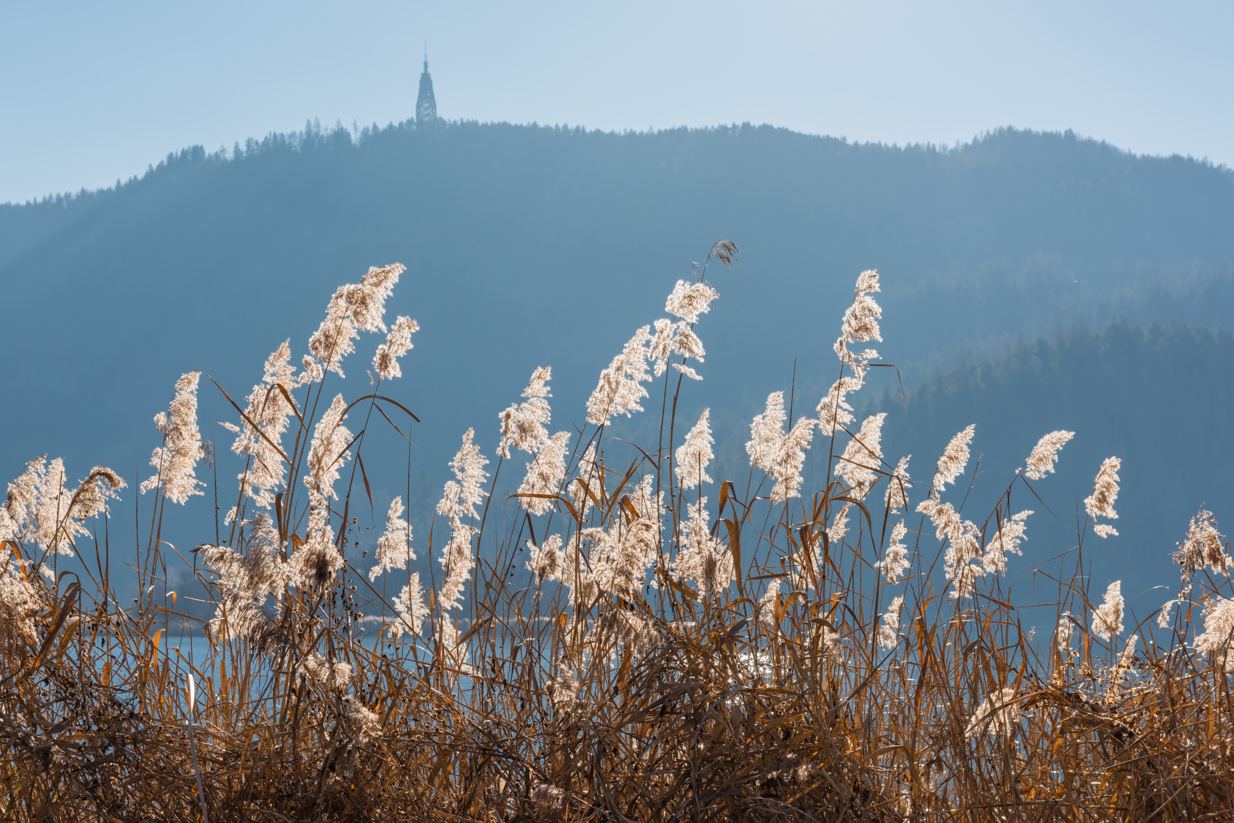 Poertschach Halbinselpromenade Roehricht und Pyramidenkogel 15122016 5724