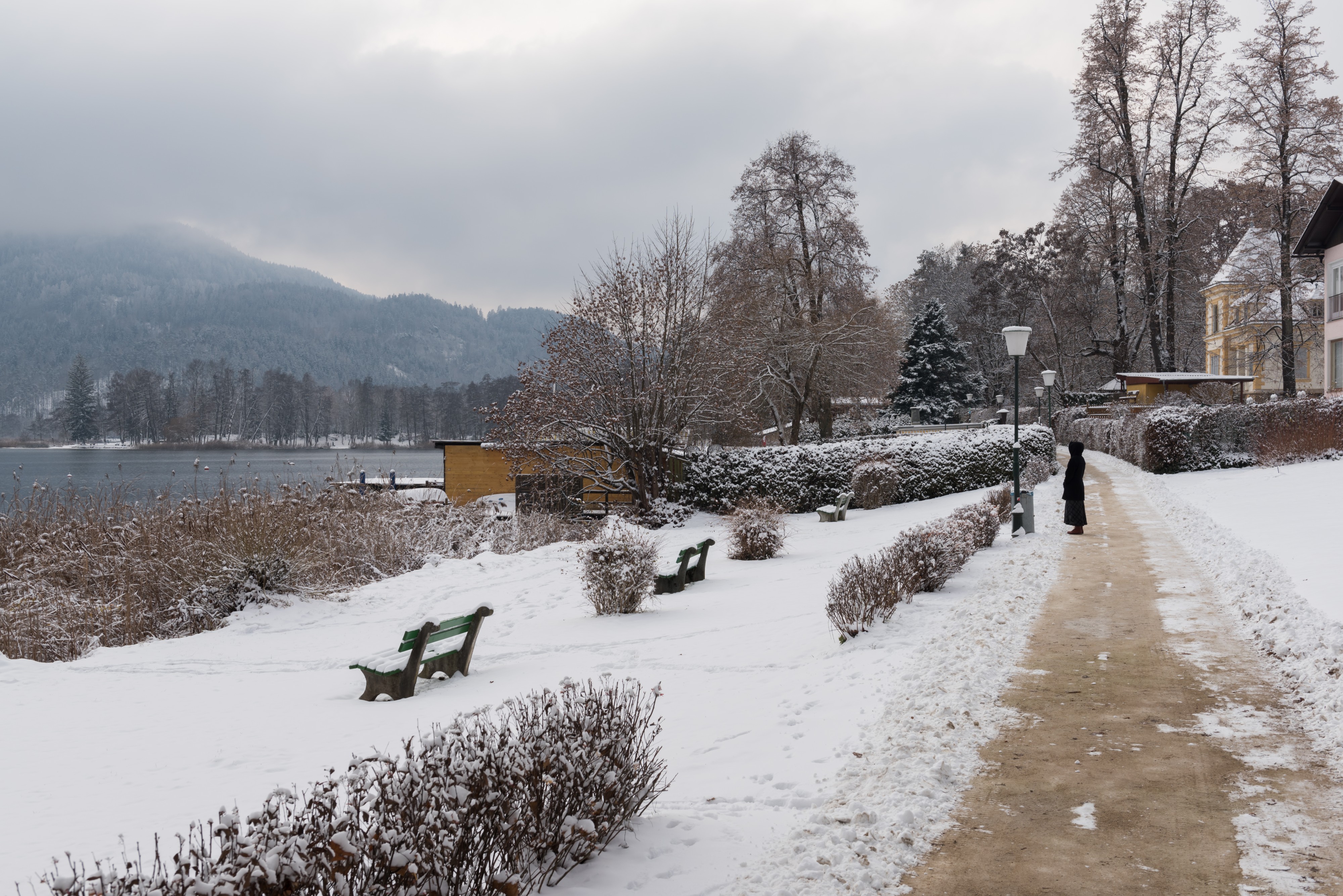 Poertschach Johannaweg winterlicher Park am Seeufer 03012016 9922