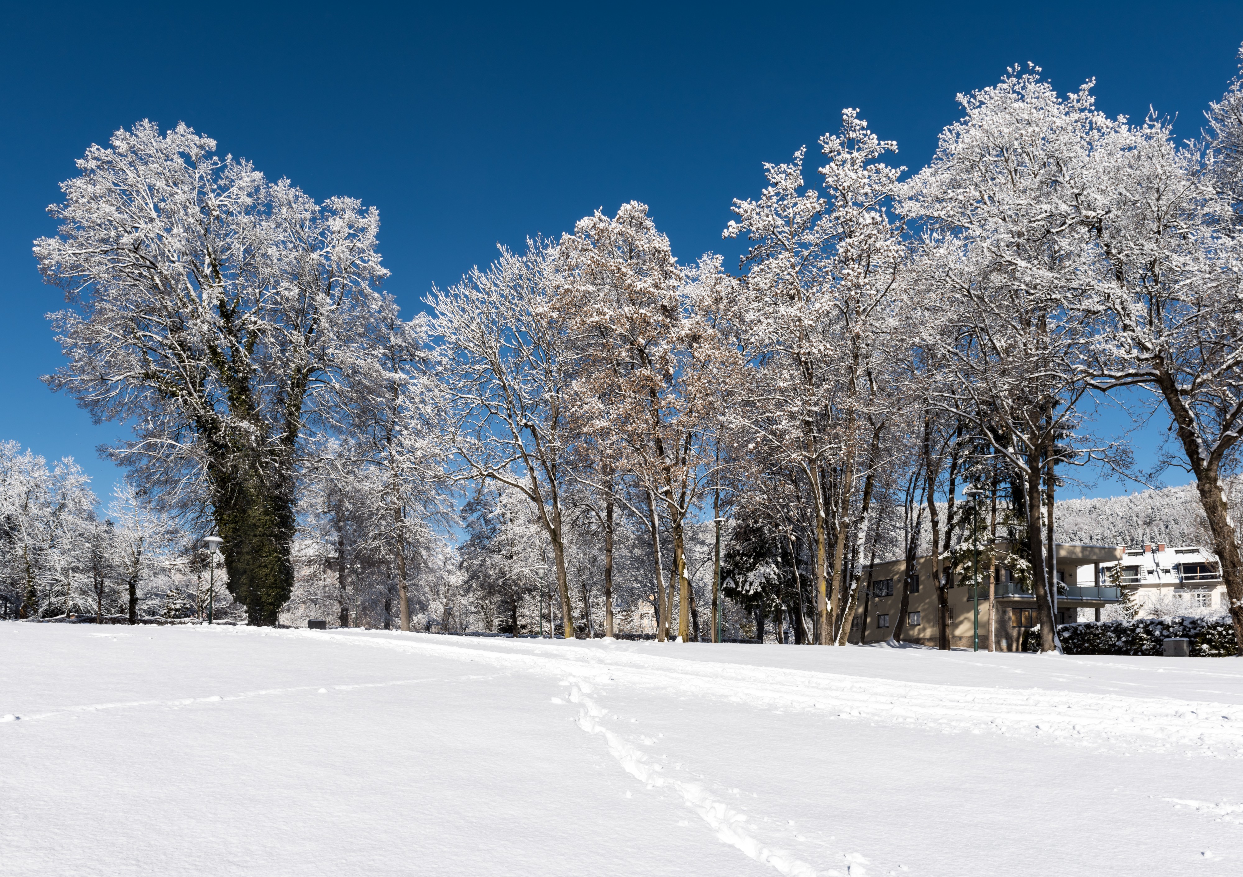 Poertschach Johannaweg winterlicher Park mit Baeumen 14012017 6068