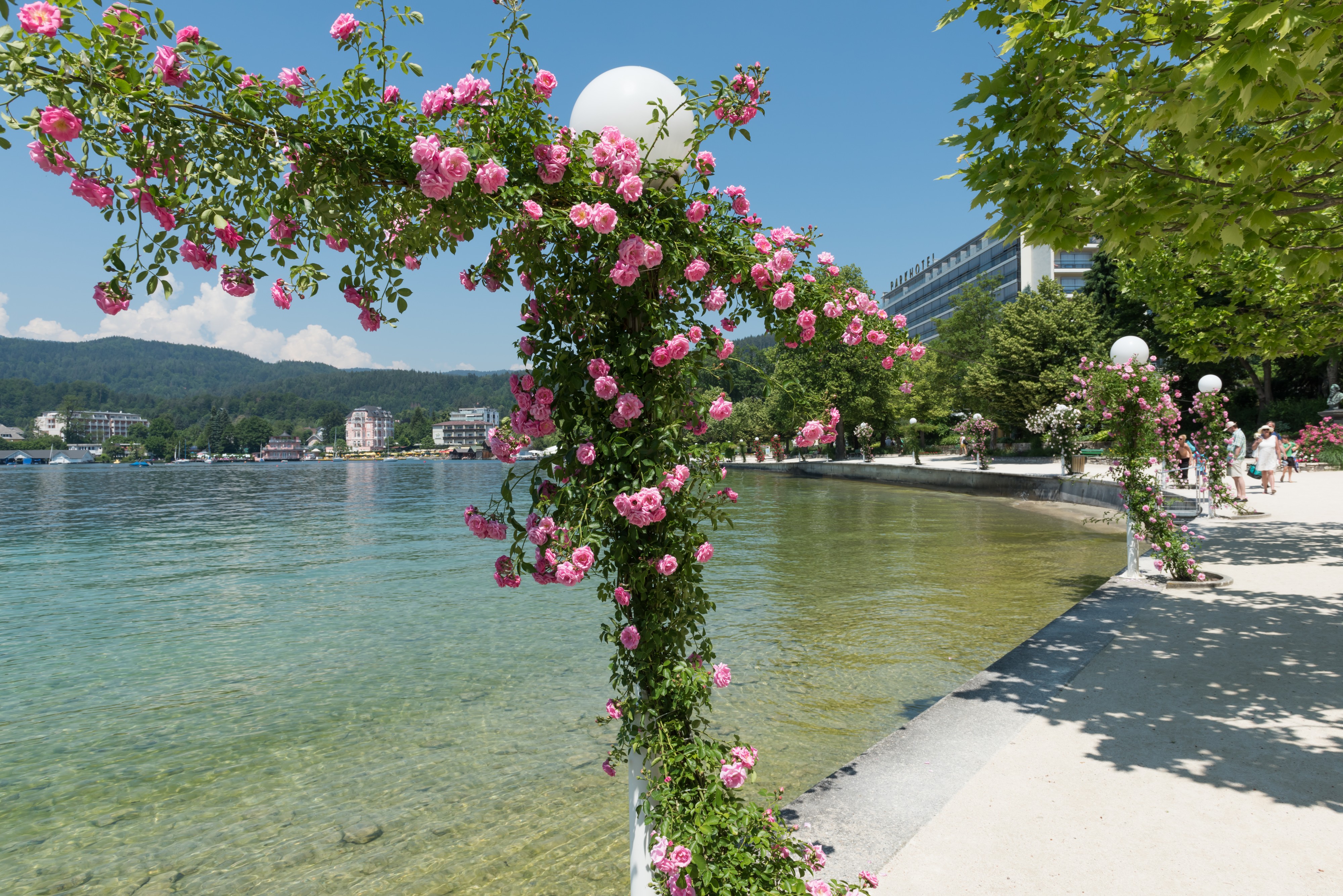 Poertschach Johannes-Brahms-Promenade Kletterrosen 06062015 4525