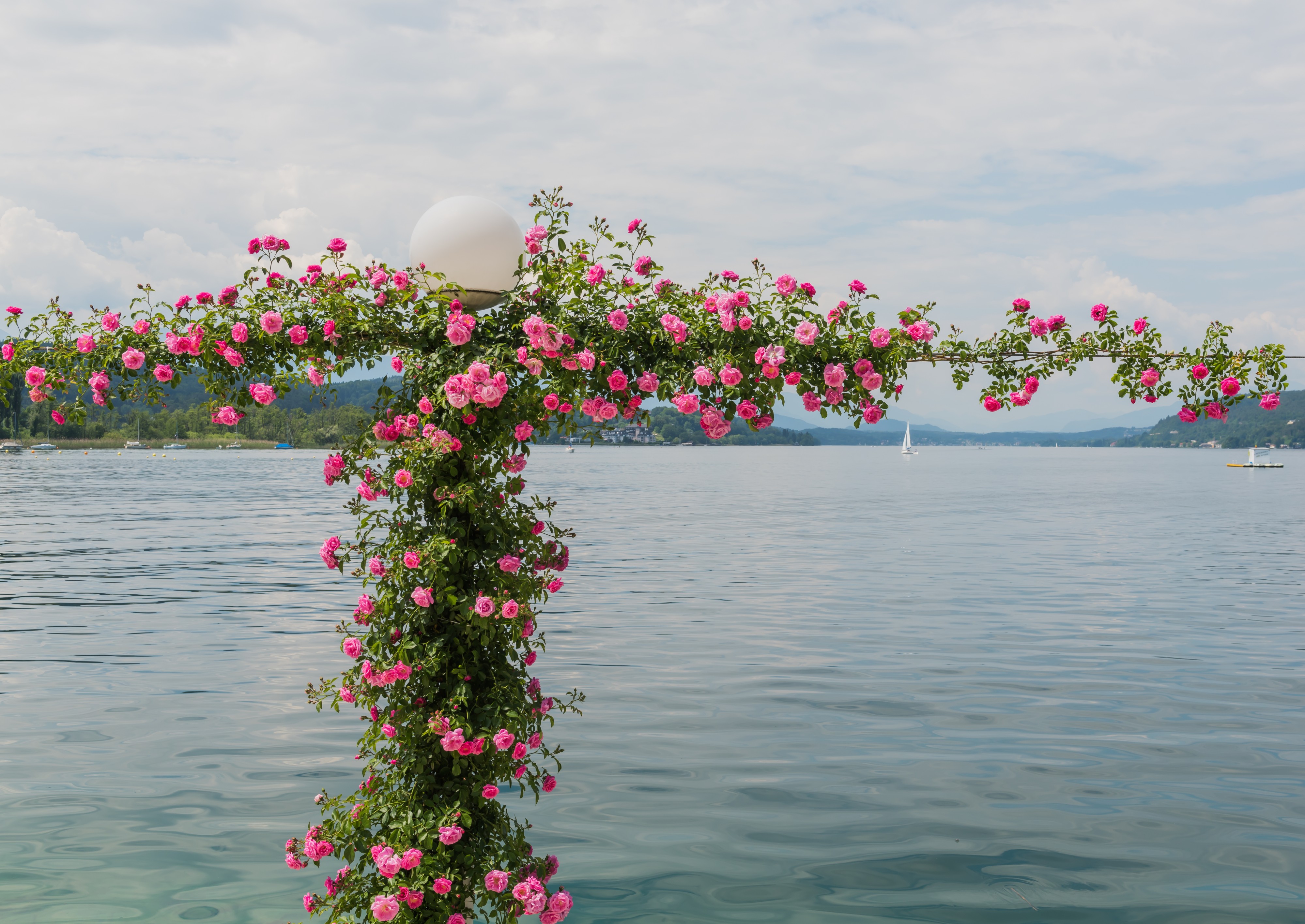 Poertschach Johannes-Brahms-Promenade mit Kletterrosen 04062015 4446
