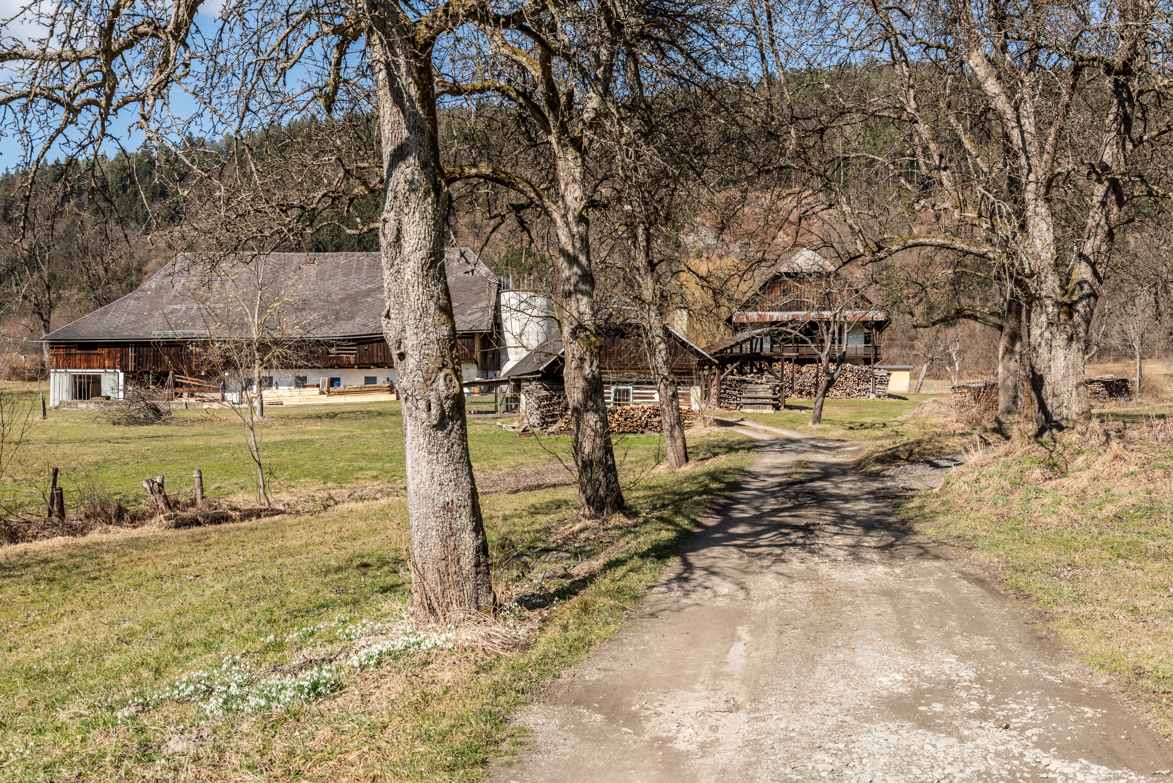Poertschach Winklern Brockweg Birnbaumallee mit Brockhof 12032017 6526