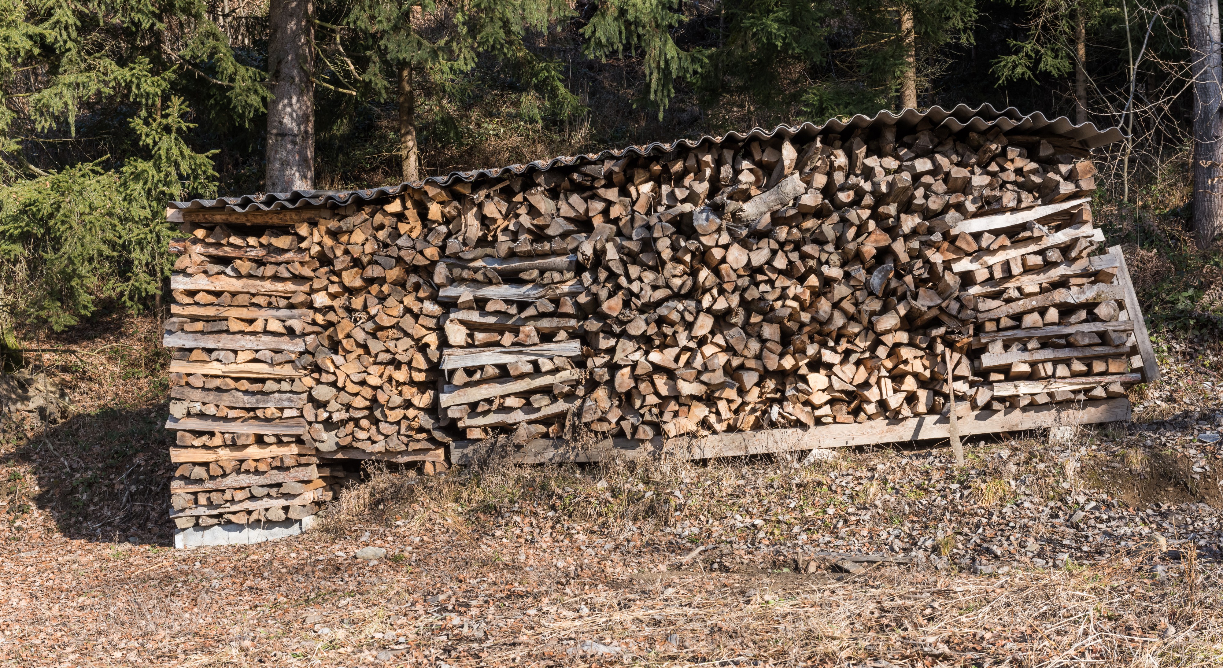 Poertschach Winklern Brockweg Brennholz-Stapel 06022016 0534