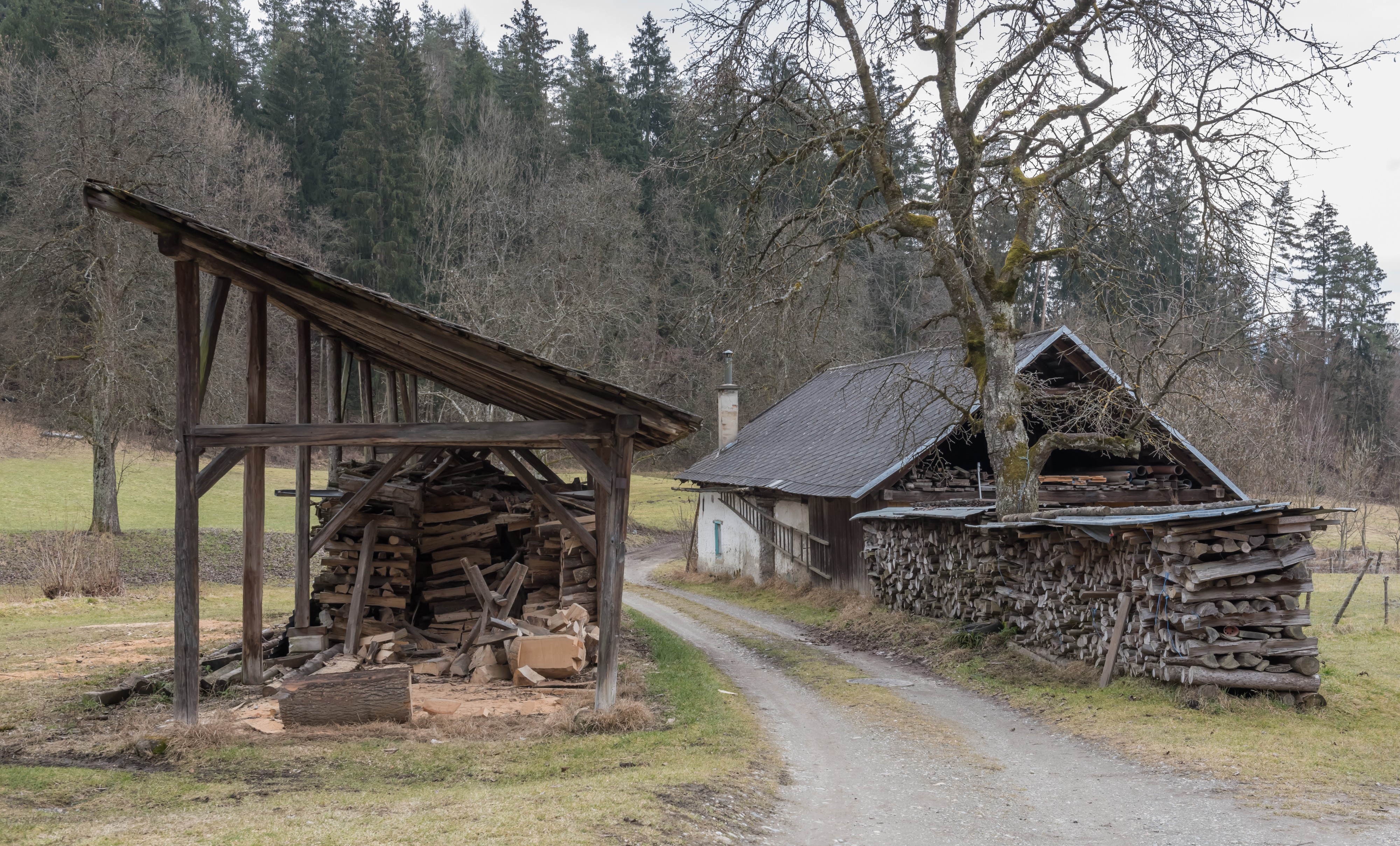 Poertschach Winklern Brockweg Brennholzstapel und alte Schmiede 23022016 0665