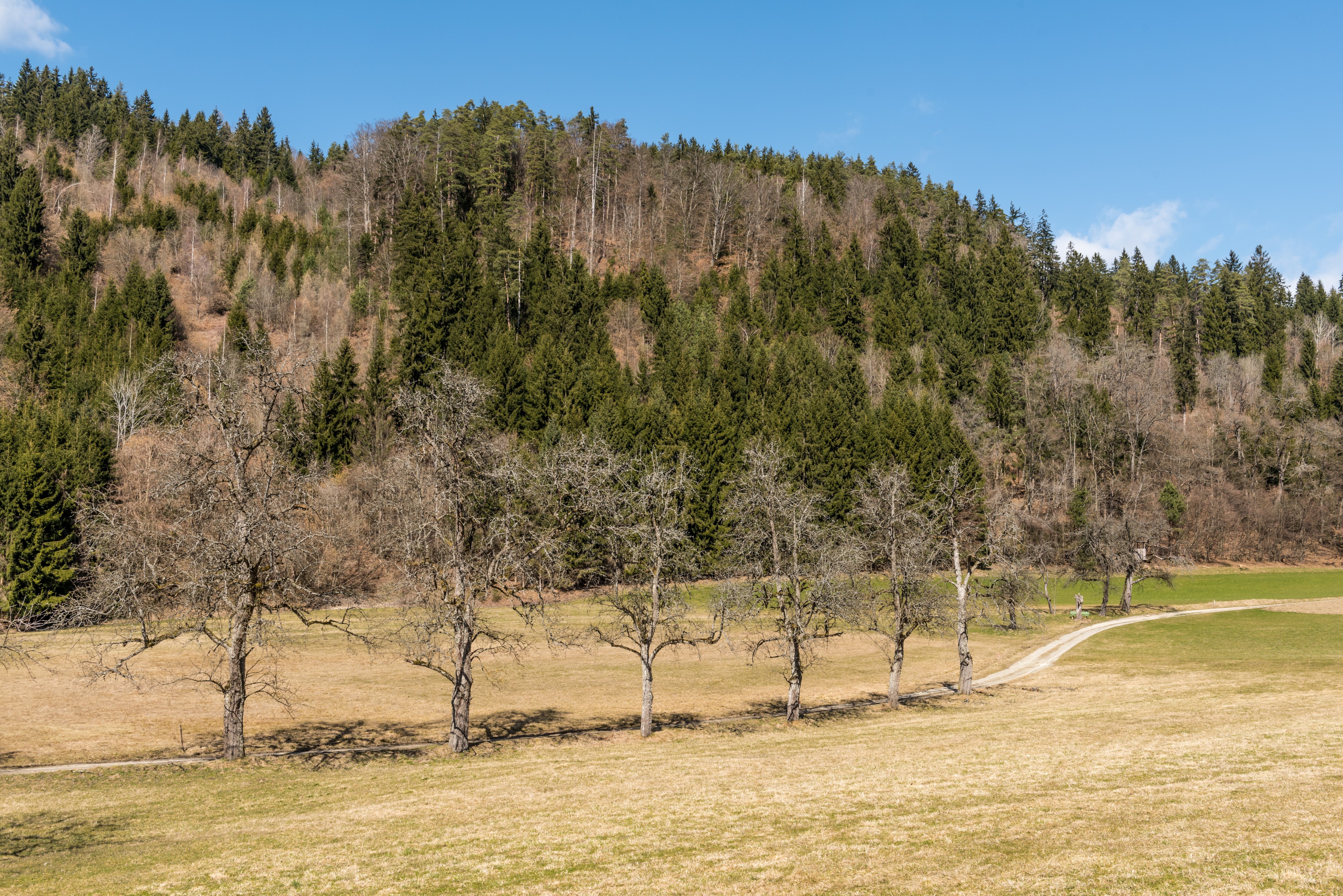 Poertschach Winklern Gaisrueckenstrasse Am Kåte 12032017 6549