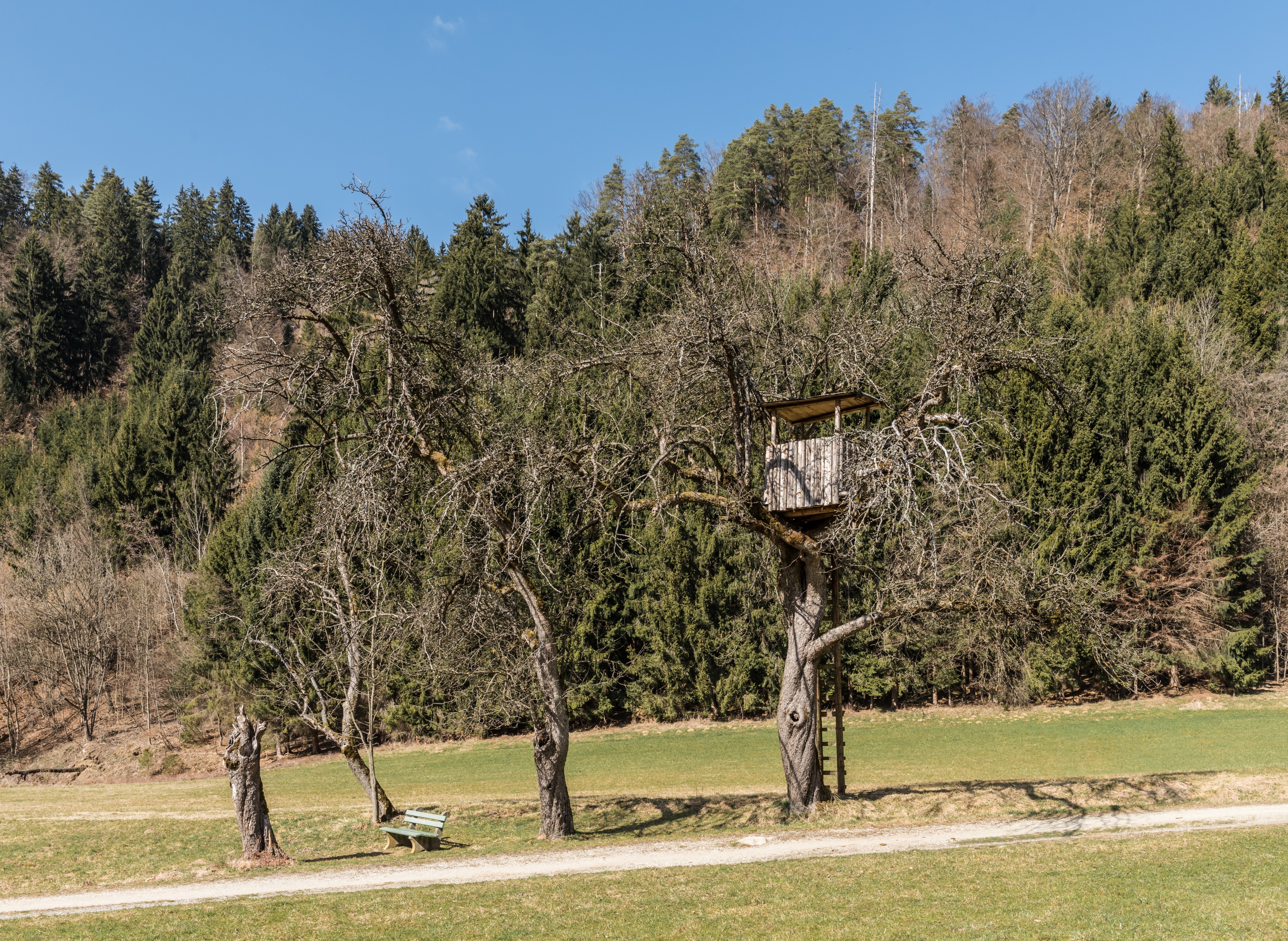 Poertschach Winklern Gaisrueckenstrasse Am Kåte Hochsitz 12032017 6554