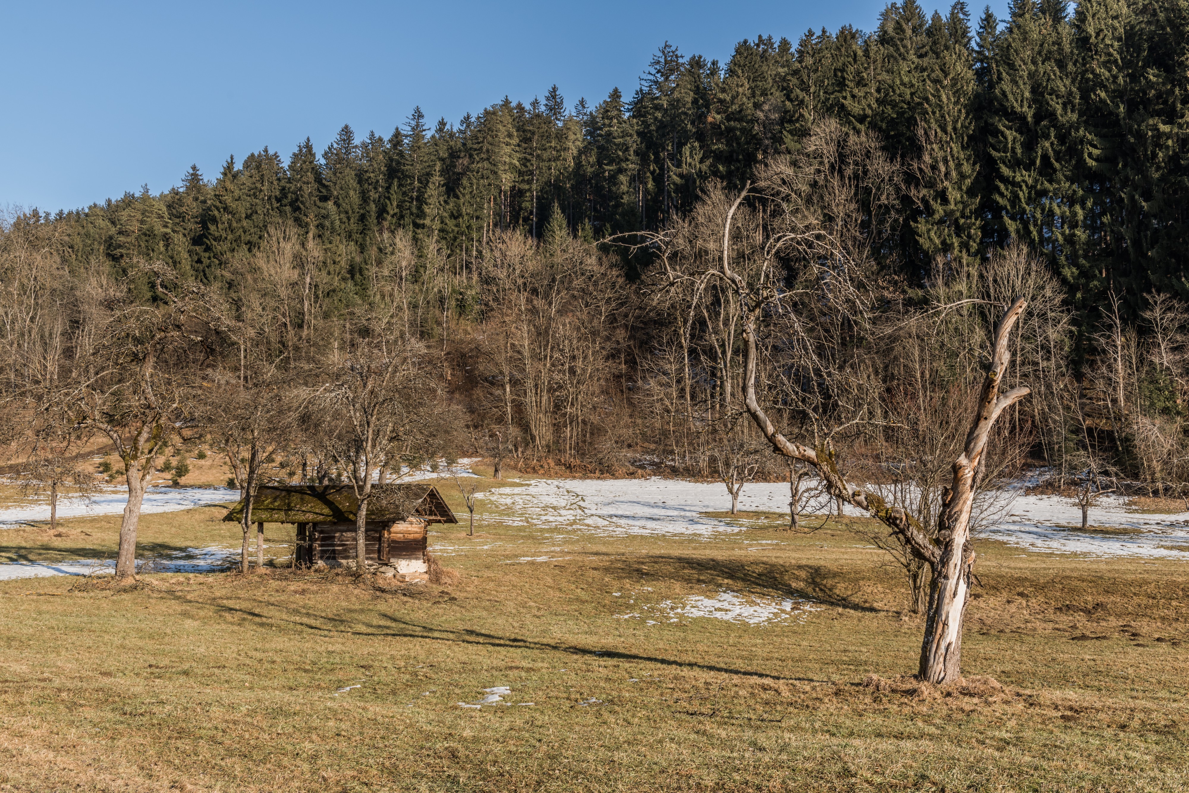 Poertschach Winklern Gaisrueckenstrasse Am Kåte Streuobstwiese Doerrkasten 19022017 6311