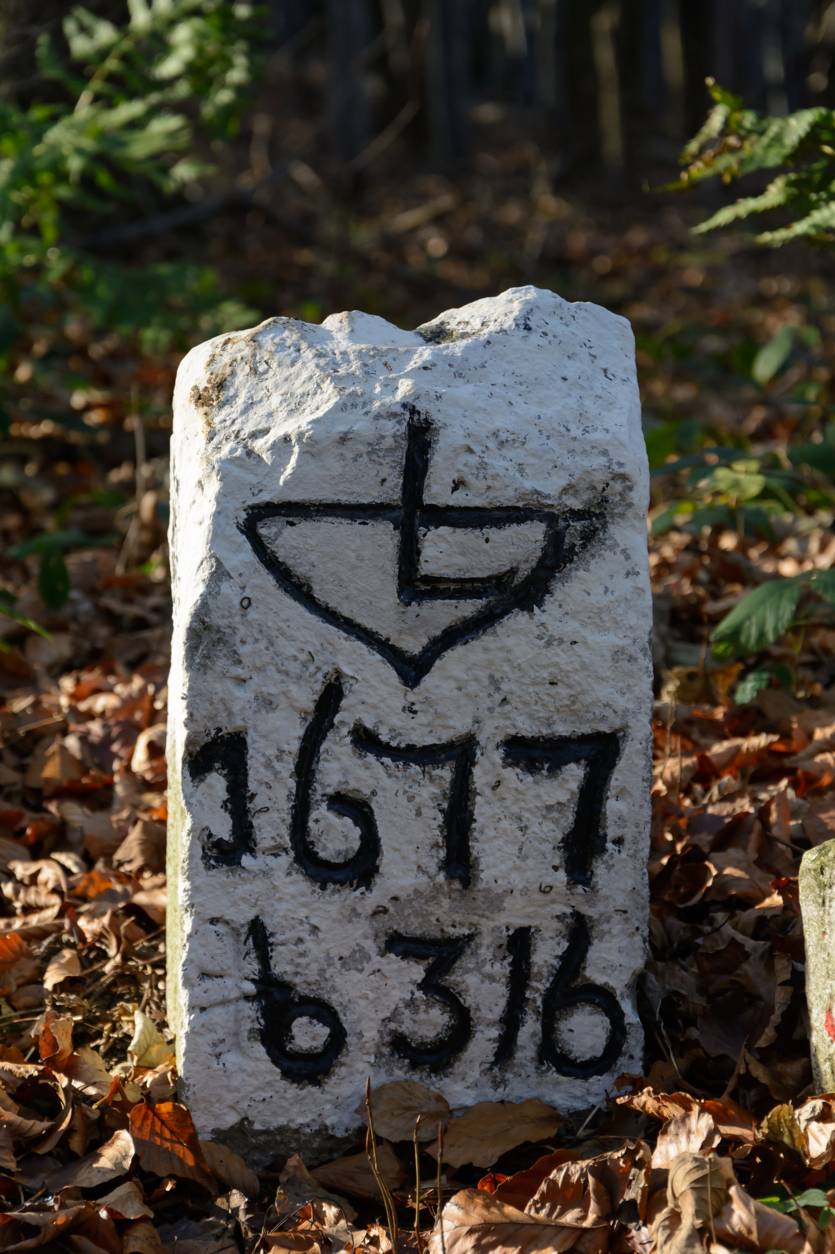 Schöpfl Grenzstein 1677-B316