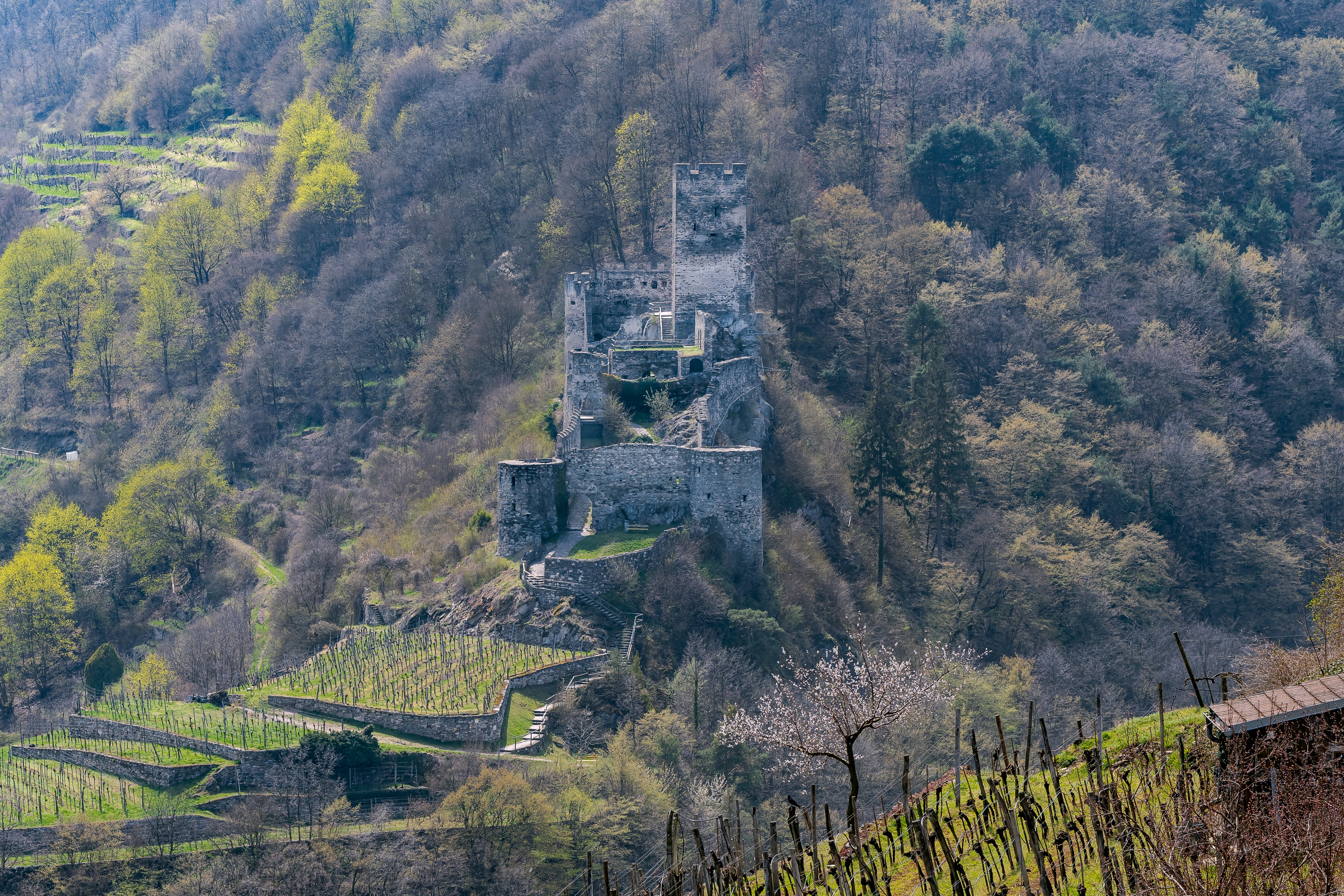 Spitz Burgruine Hinterhaus-2