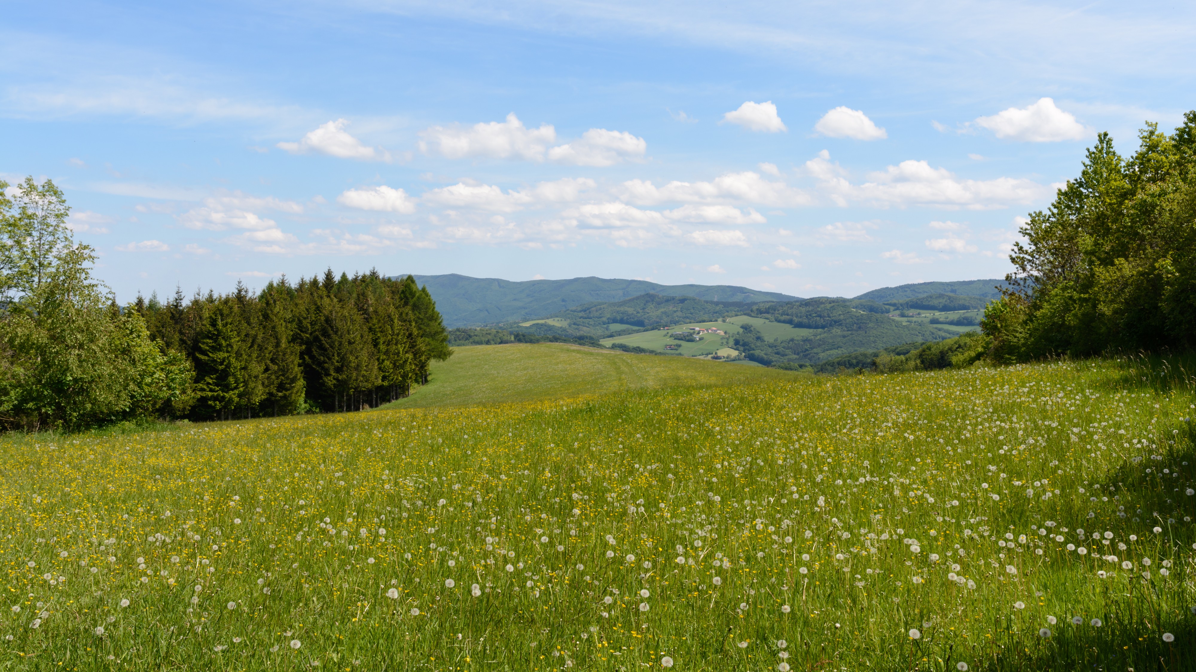 Stössing Hochstrass Wiese 20160521