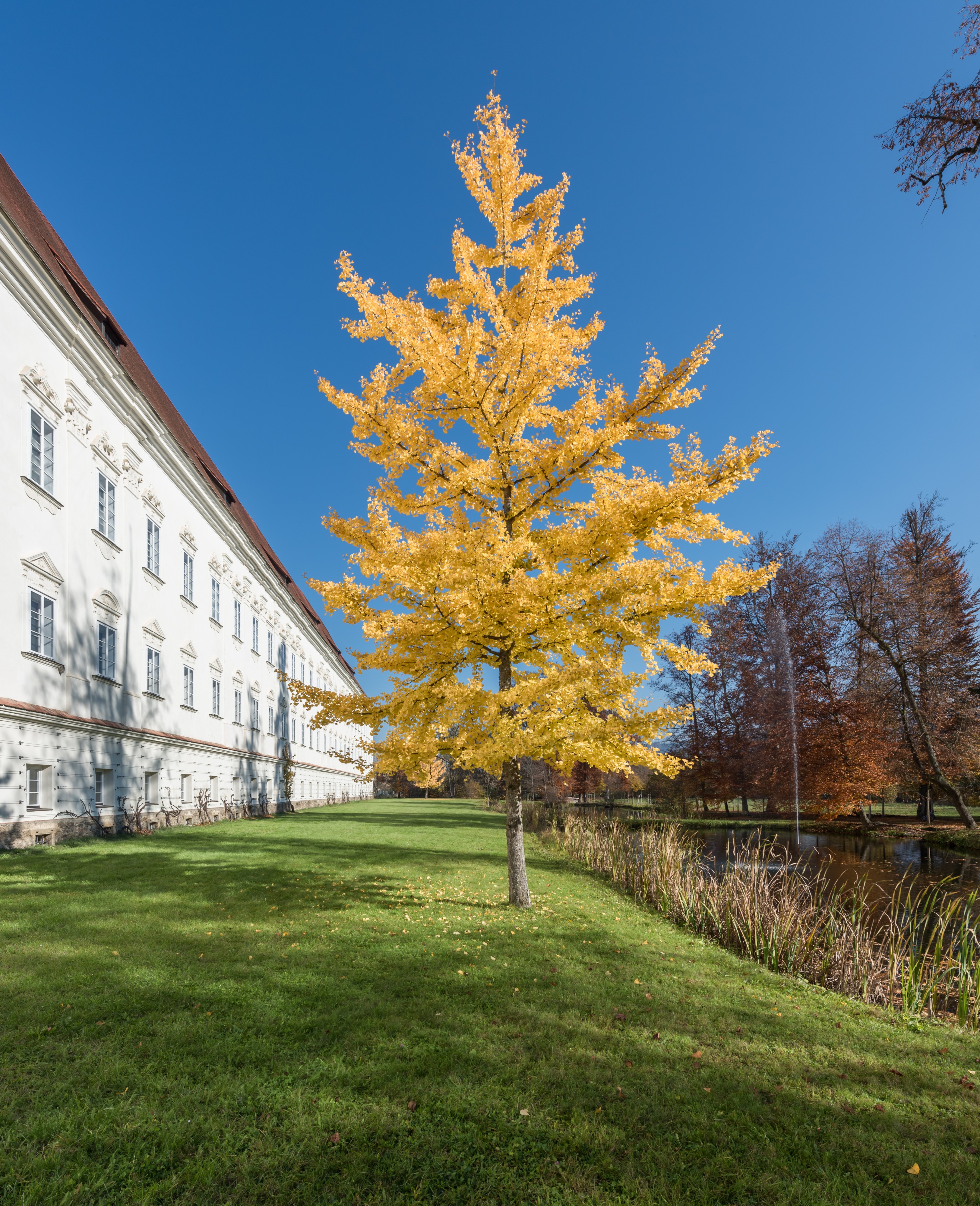 Stift Viktring Sued-Trakt mit Park 01112015 8587