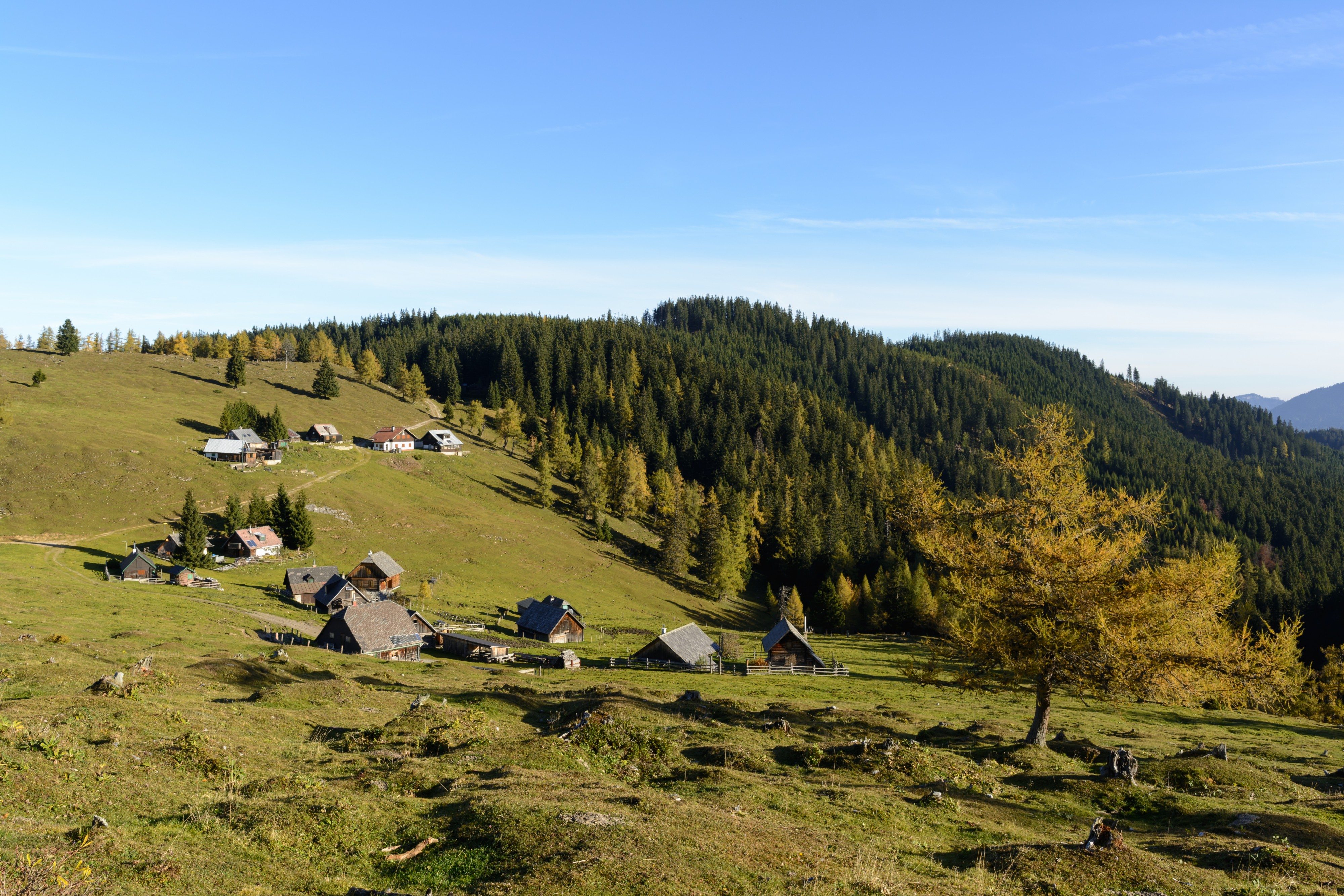 Turnau Göriacher Alm 01