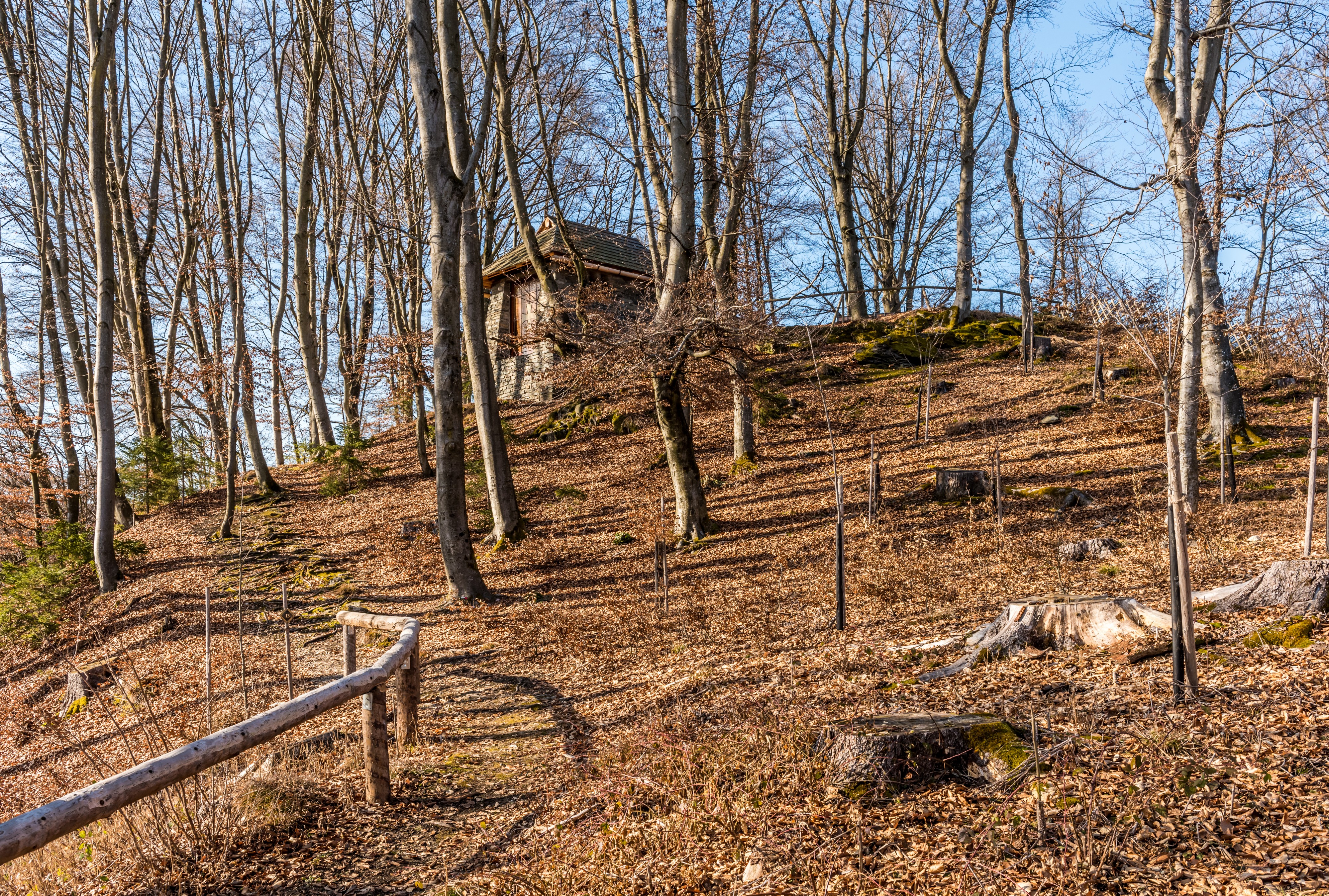 Velden Gedächtnisweg Friedensforst Kriegs-Gedenkstätte 31012018 2636