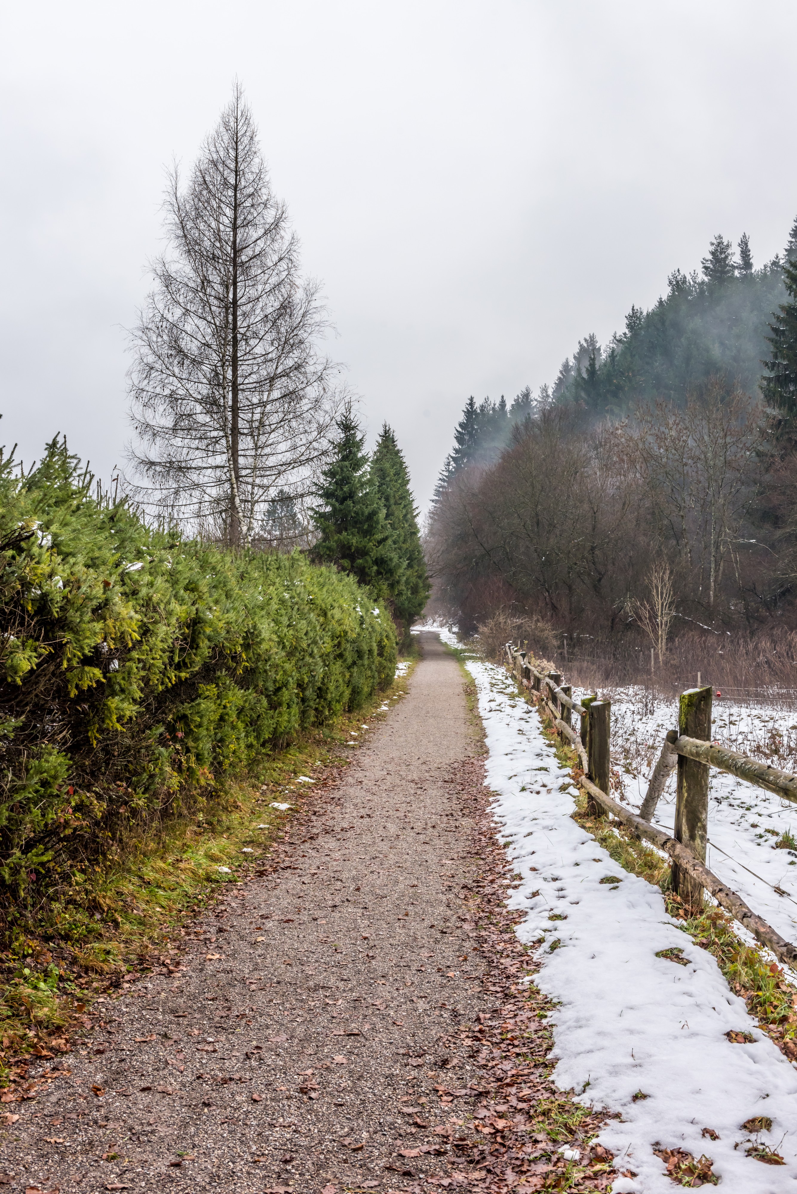 Villach Warmbad Warmbader Straße Wanderweg 22112018 5449